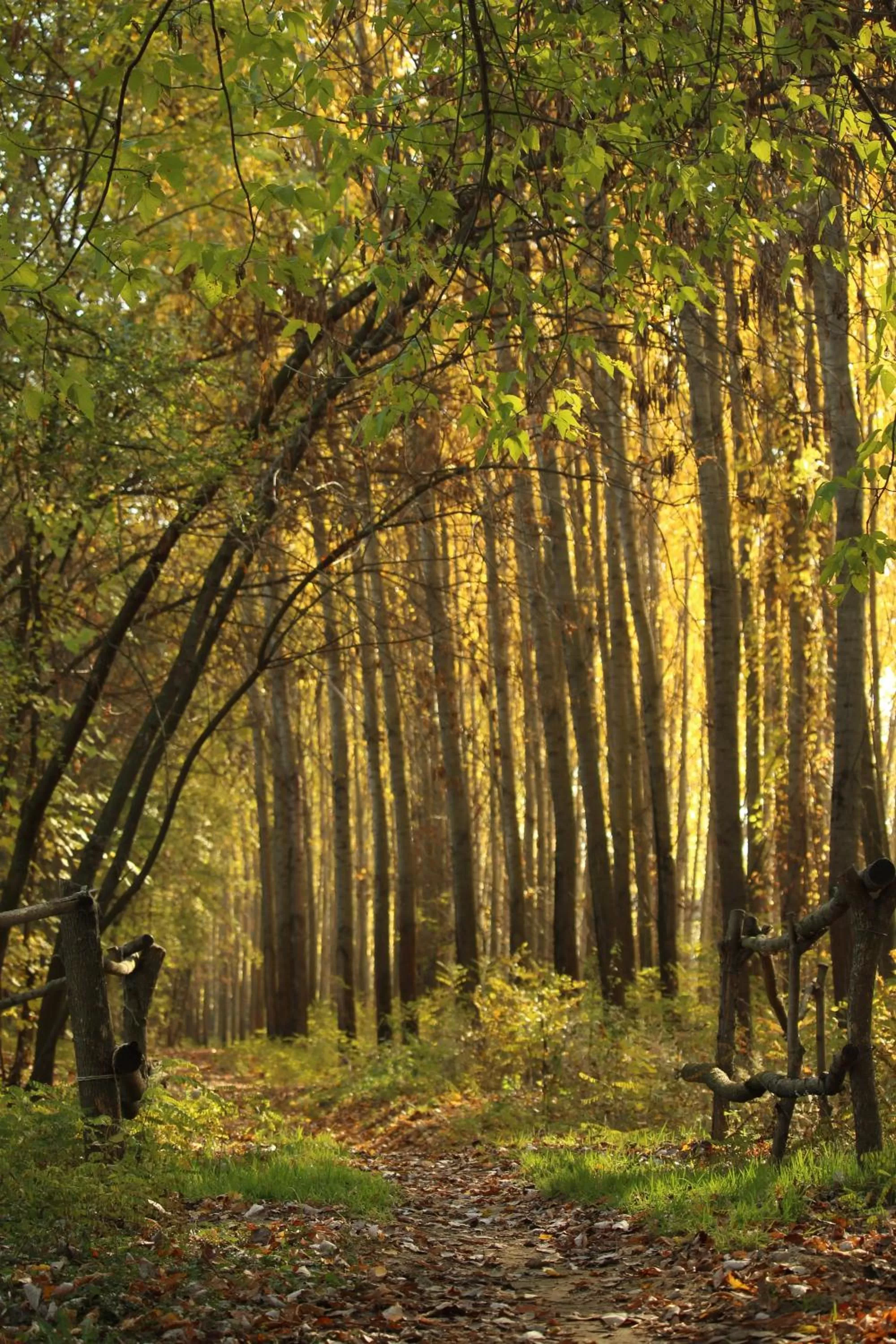 Hiking, Natural Landscape in Levendula Hotel