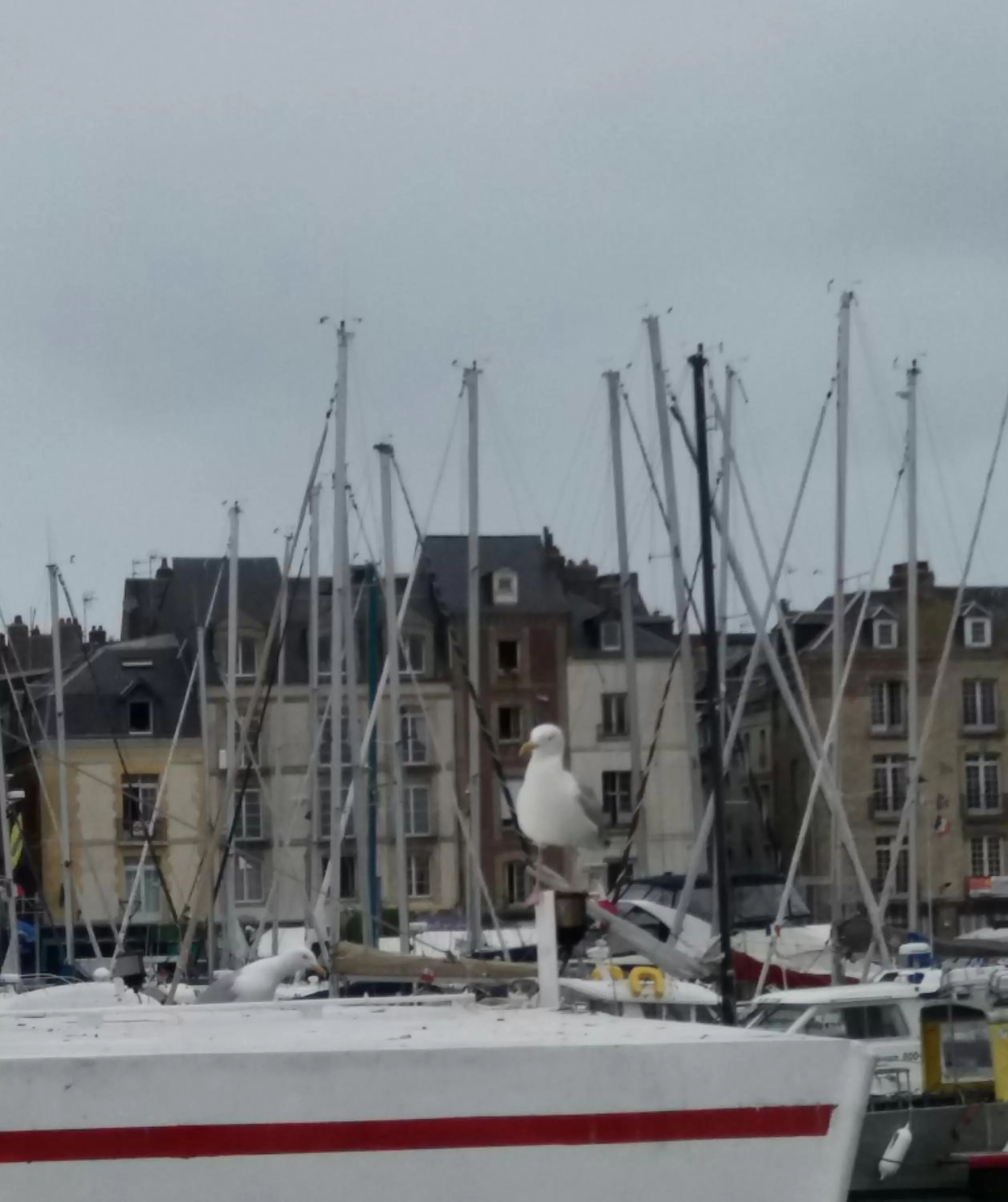 Nearby landmark in EGG HOTEL - HOTEL LES GENS DE MER Dieppe