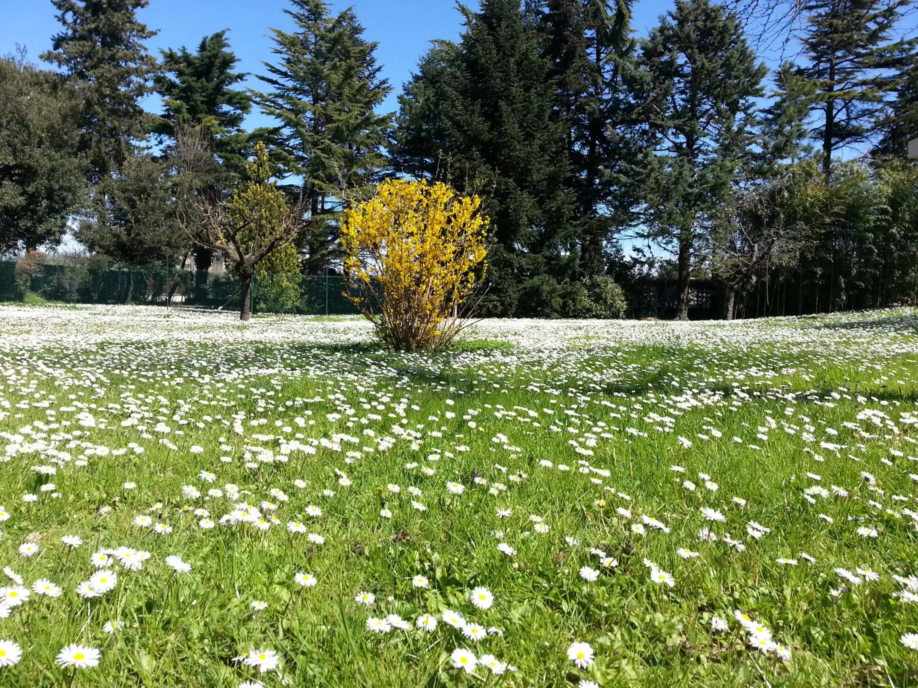 Garden in Al Villino del Sole