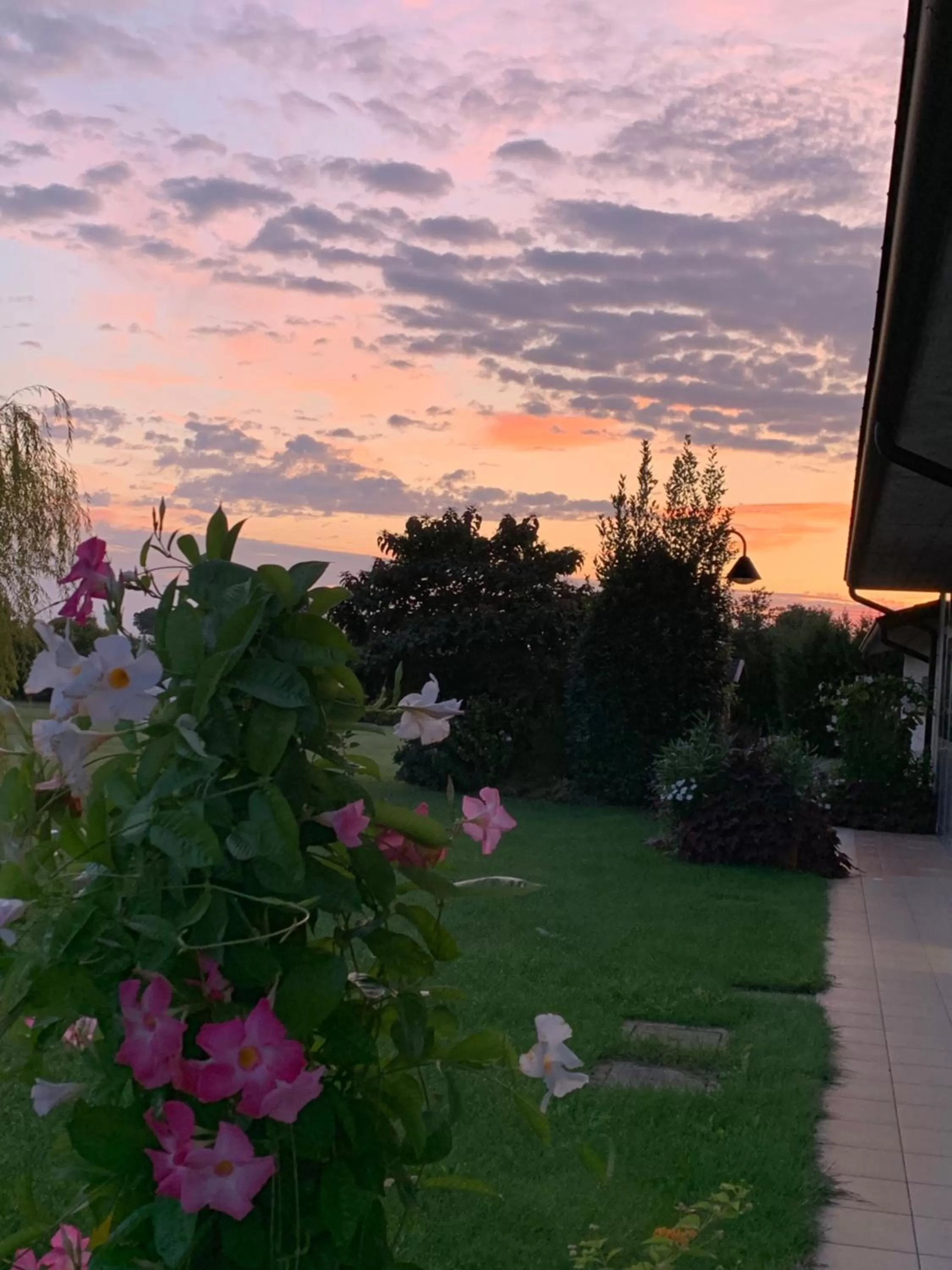 Sunrise in B&B Beauty House