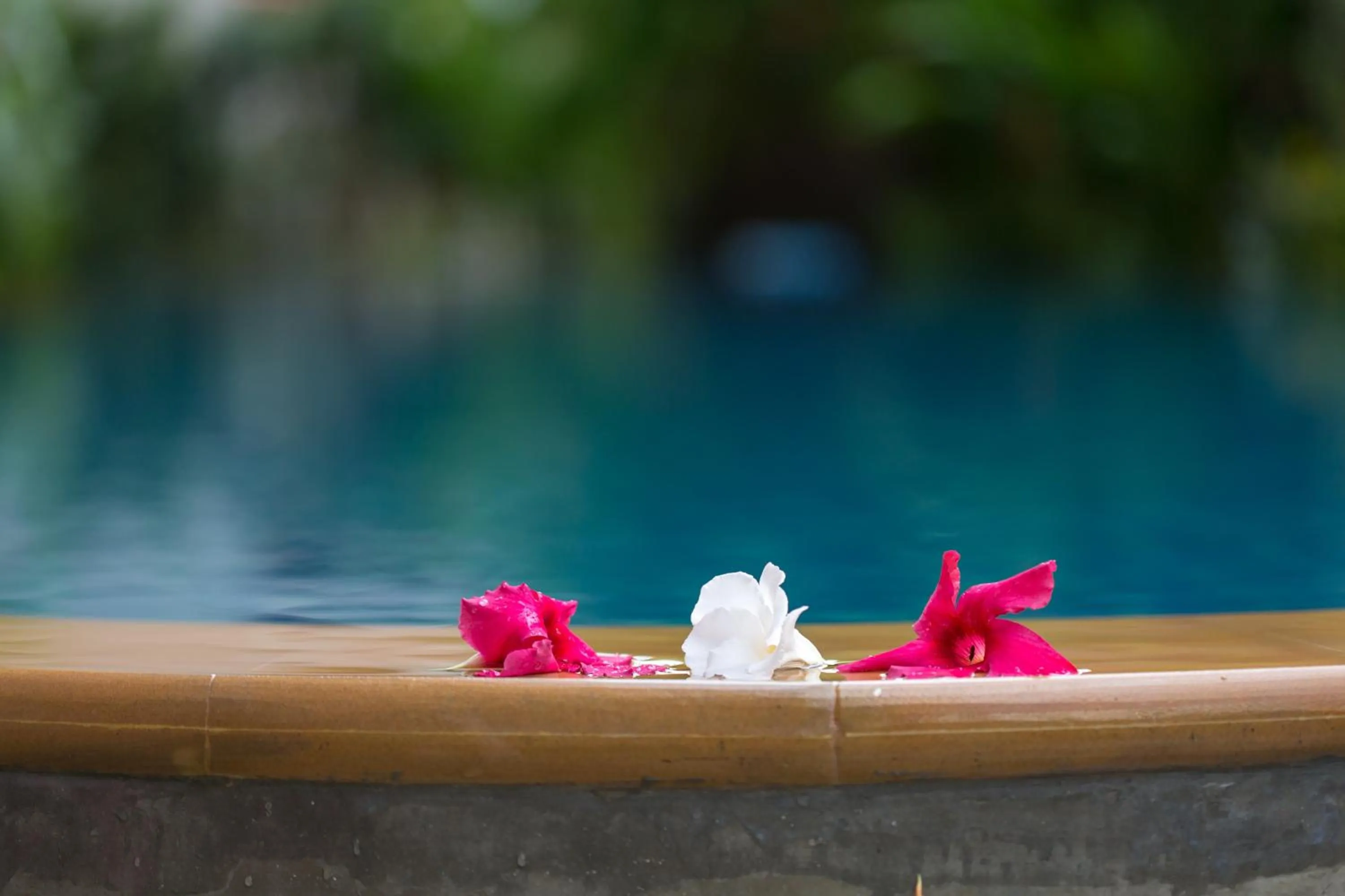 Swimming pool in Chiang Mai Waroros Boutique Hotel