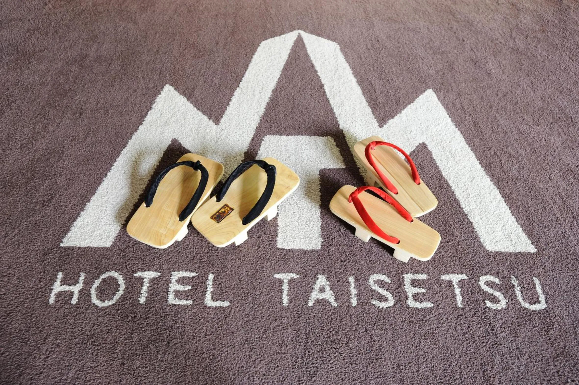 Other in Hotel Taisetsu Onsen&Canyon Resort