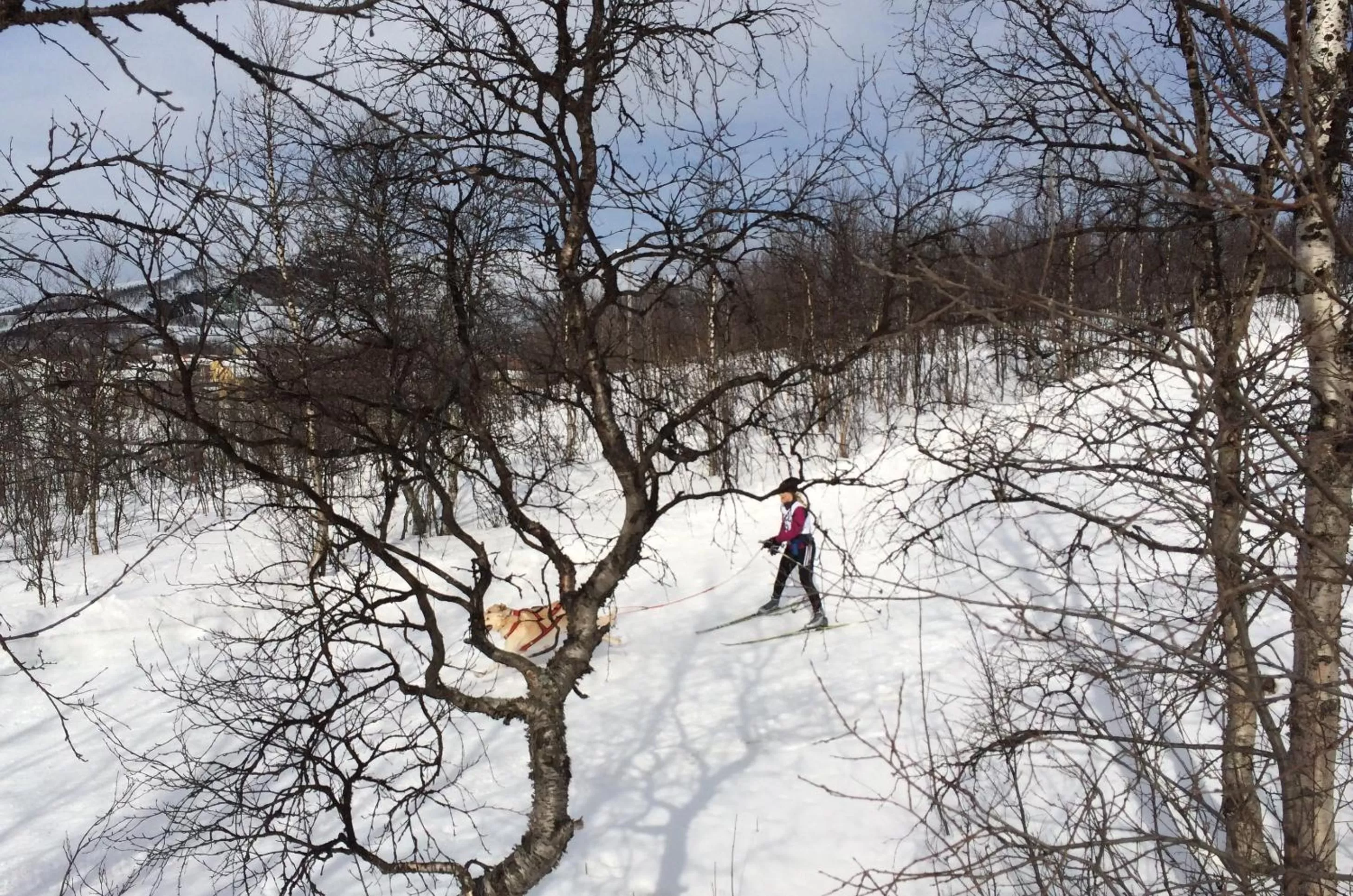 Off site in STF Malmfältens Folkhögskola