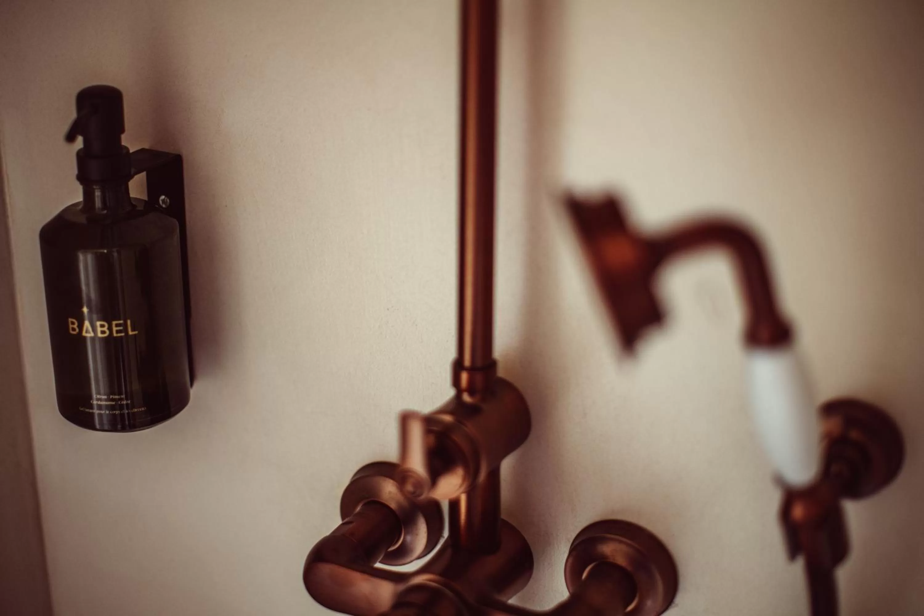 Shower in Babel Belleville