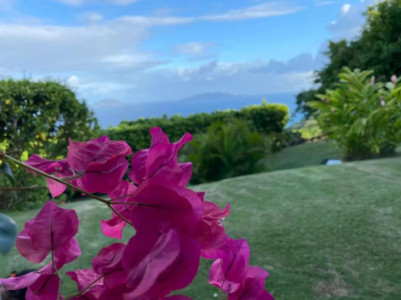 Villa Cajou (Chambre d'hôtes chez l'habitant)