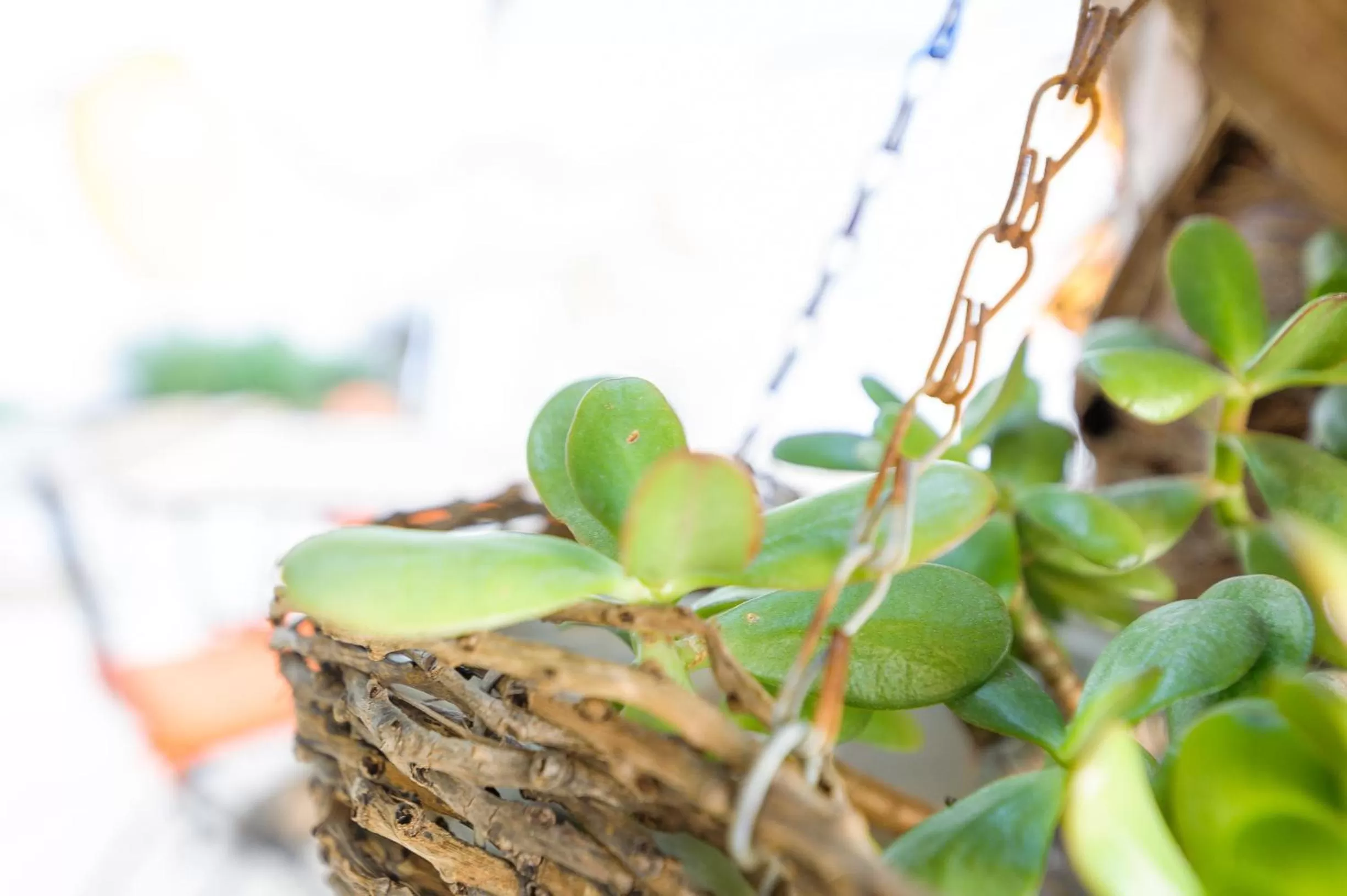 Property building in Morfeo Charming Rooms & Relax