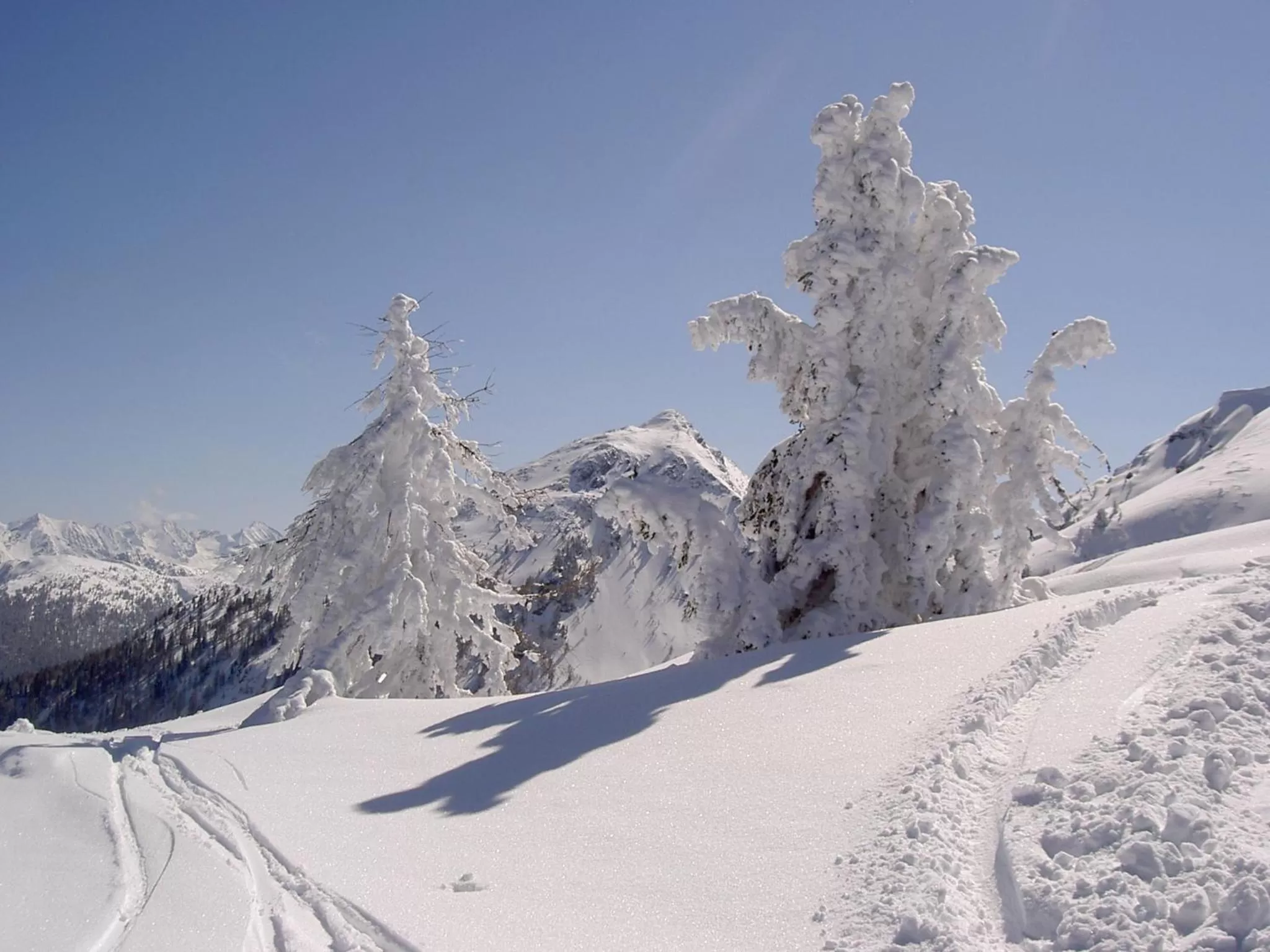 Winter in Gästehaus Pürstl-Kocher