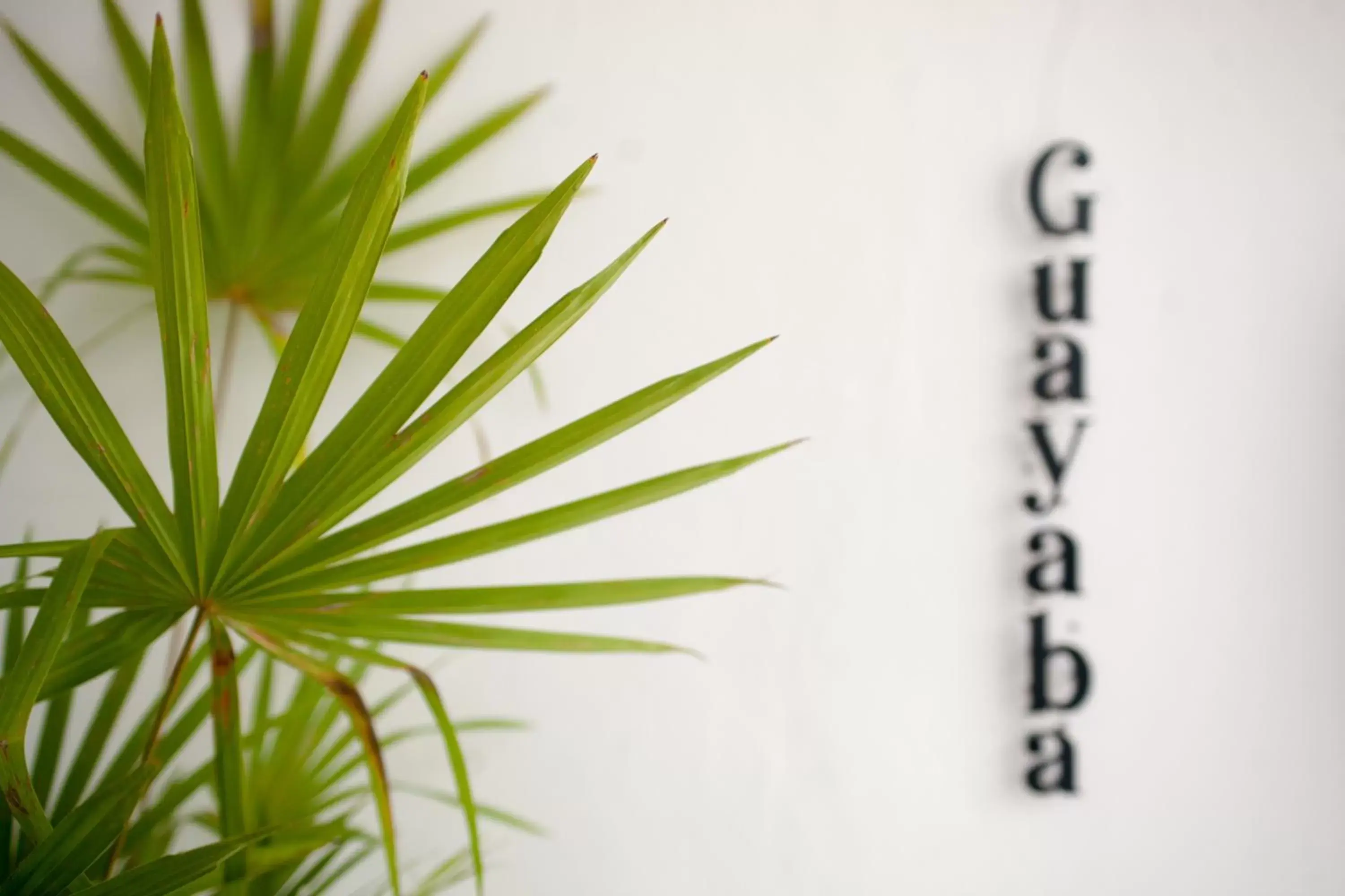 Junior Suite with Terrace in Latino Hotel Boutique Junior Suite with Terrace in Latino Hotel Boutique