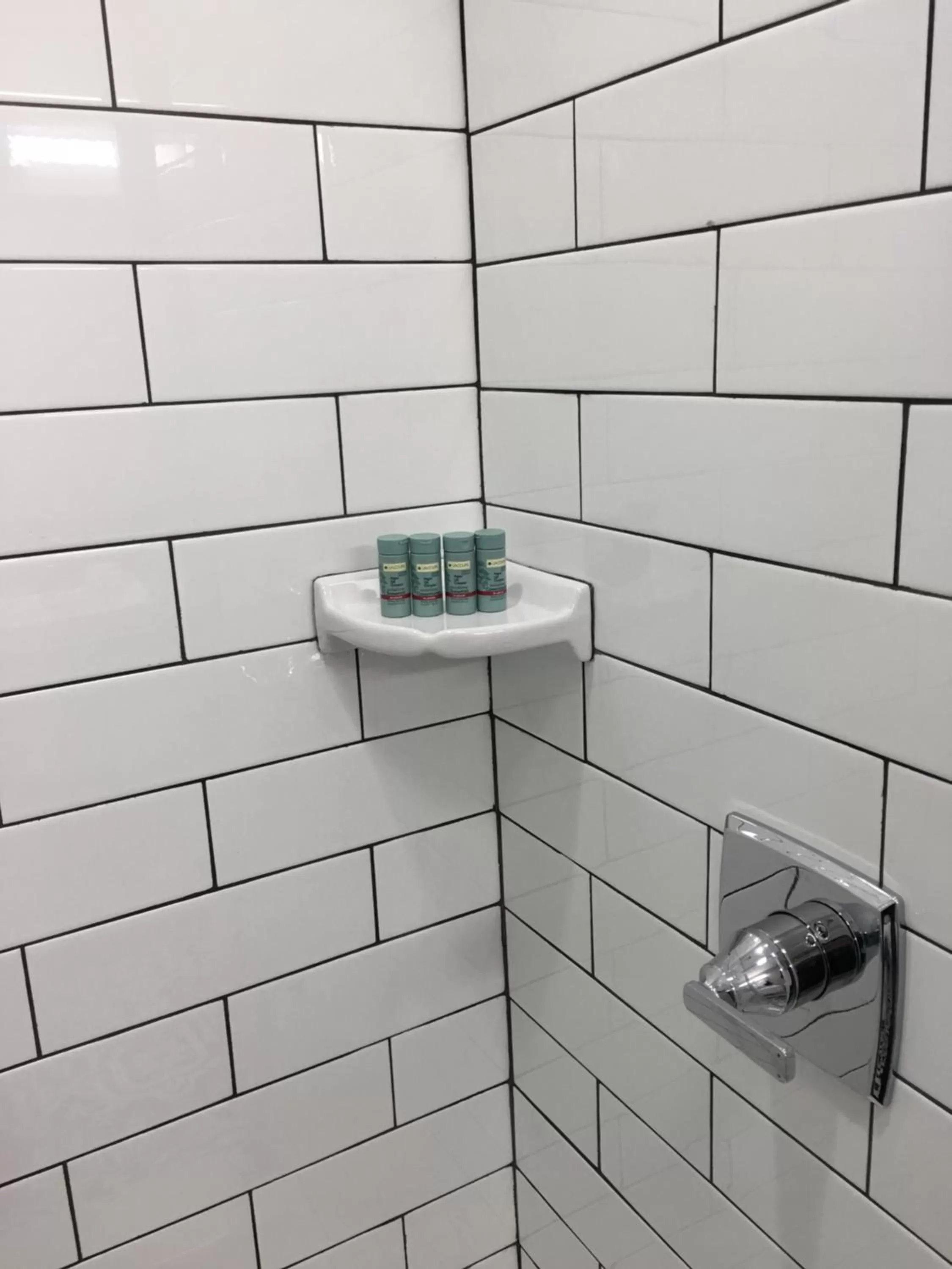 Shower in Riverside inn hannibal