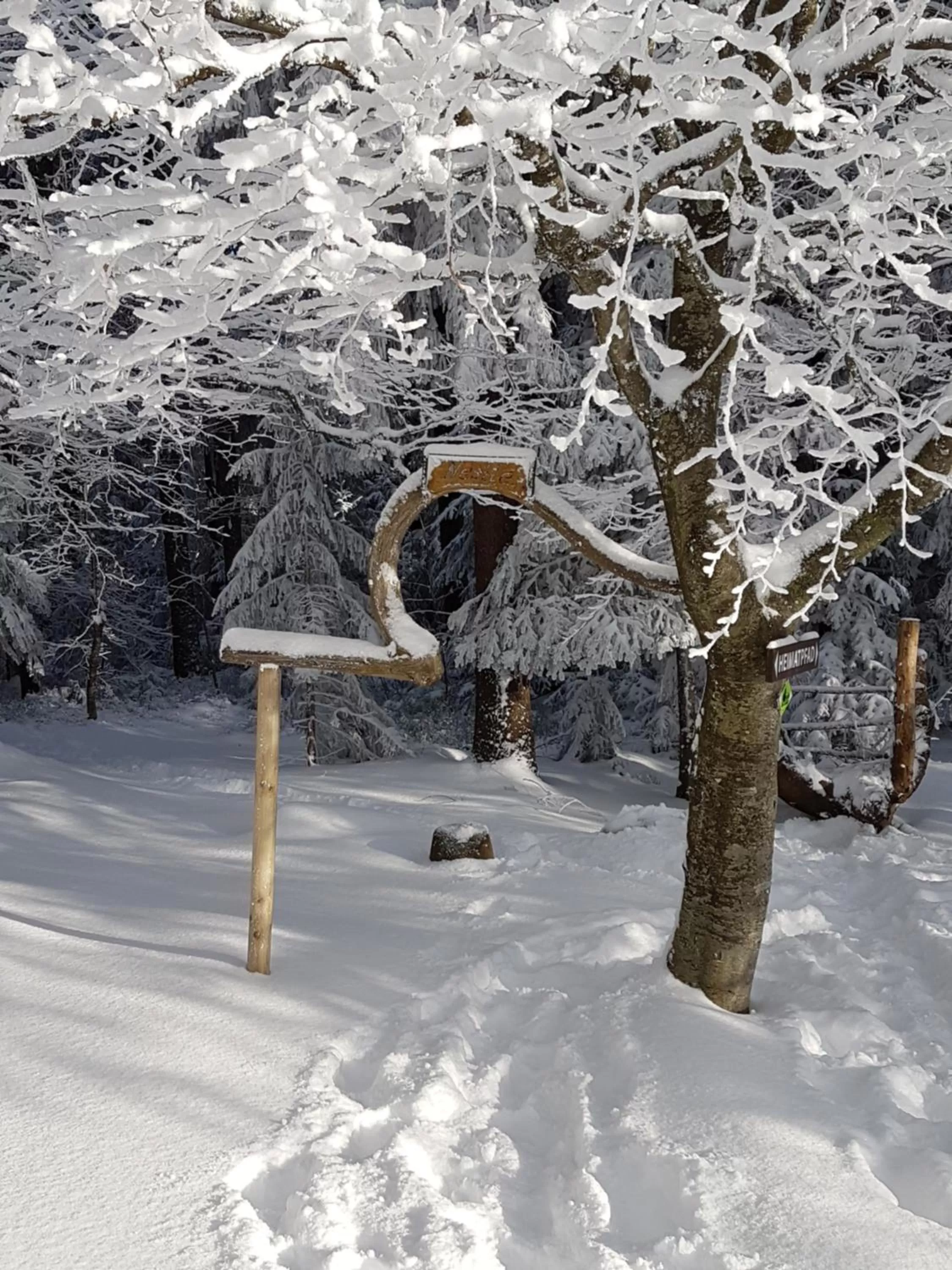 Winter in Hotel Restaurant Kniebishöhe