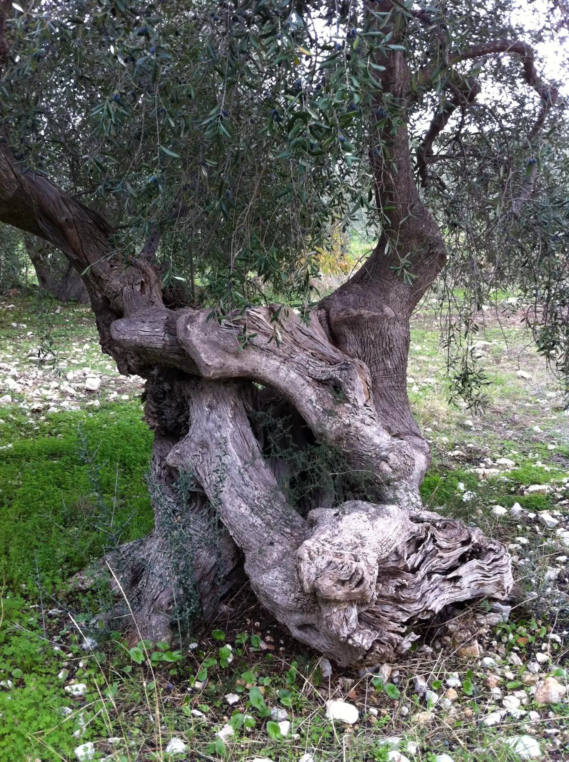 Activities in Rocca Sul Mare Hotel