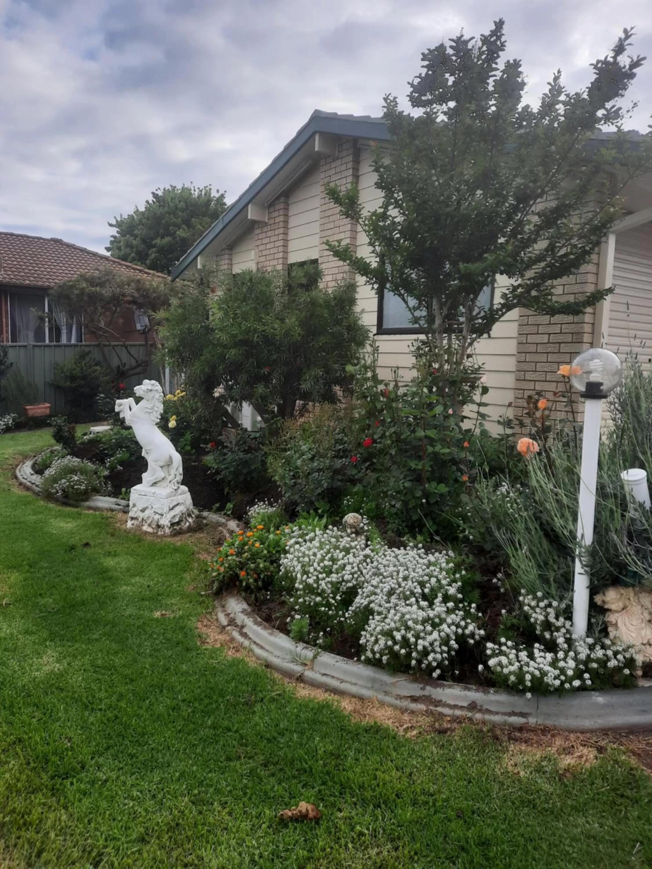 Garden in Bega Southtown Motor Inn