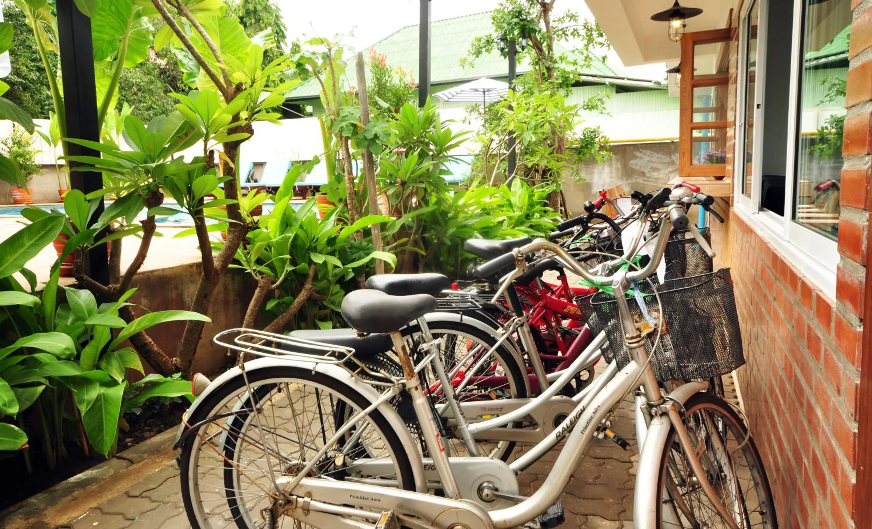 Cycling in My Chiangmai Boutique Lodge