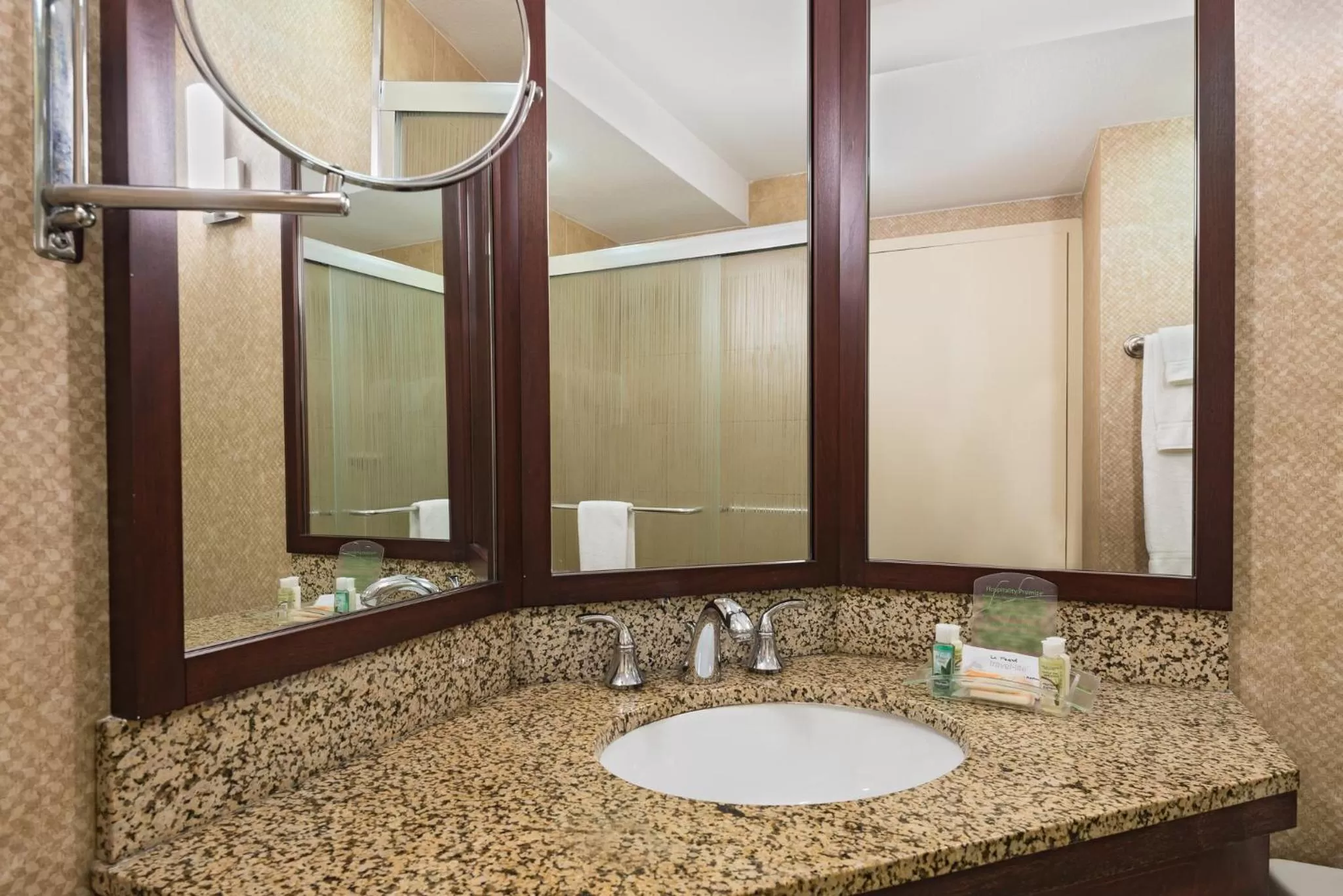 Bathroom in Holiday Inn Knoxville West - Cedar Bluff Rd by IHG