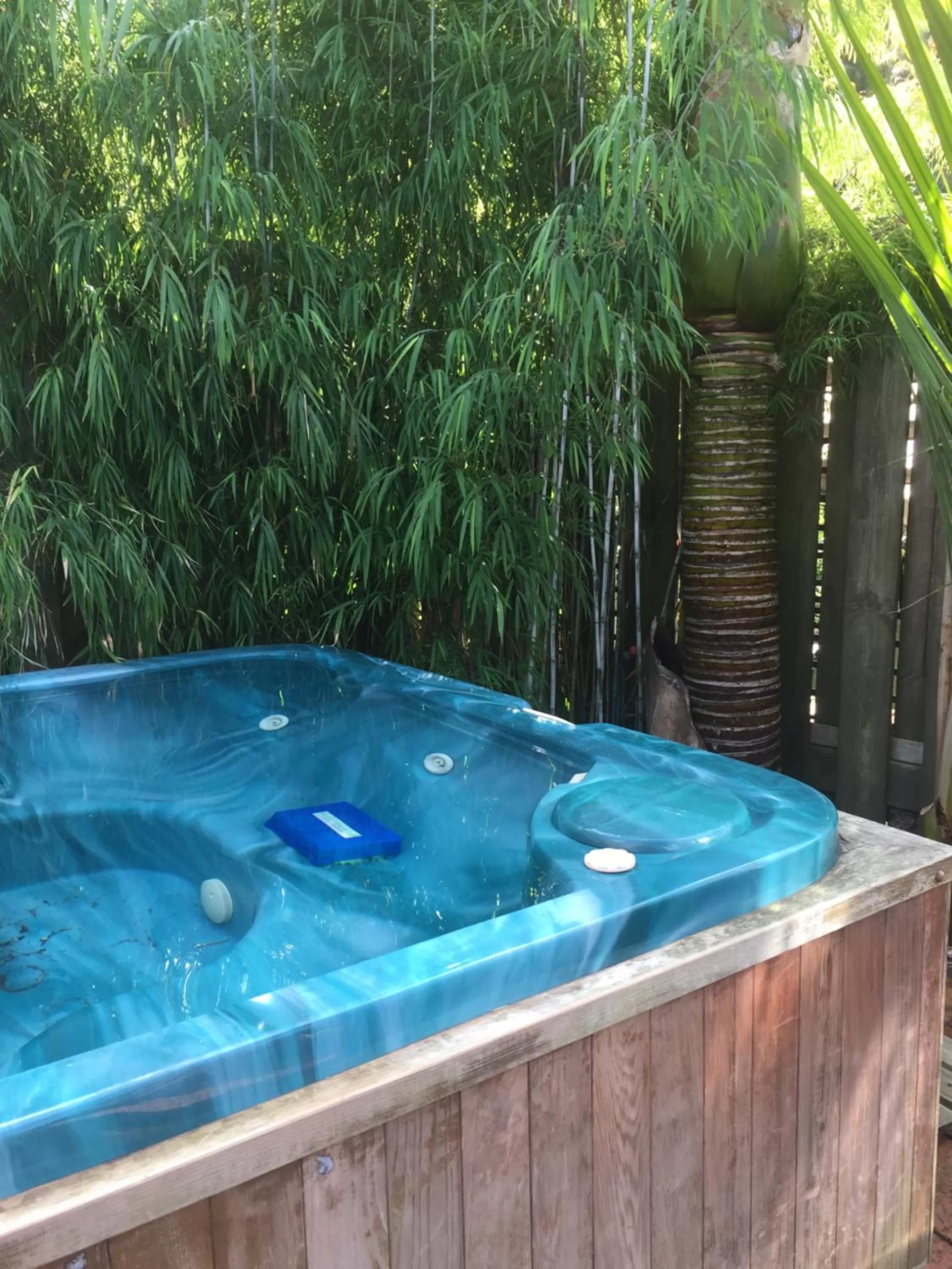 Hot Tub, Swimming Pool in Kawai Purapura Yoga Retreat Centre