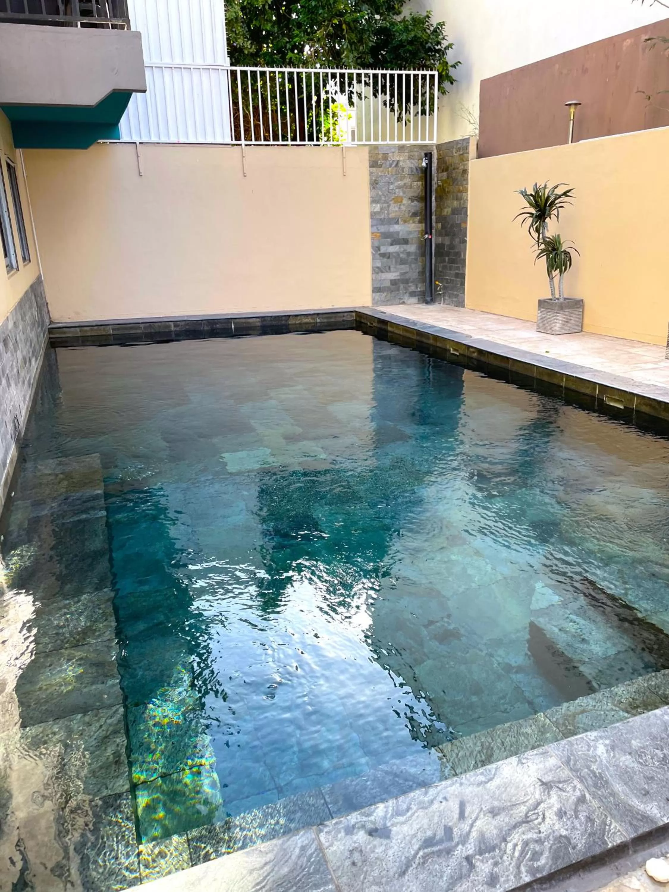 Swimming pool in Hôtel Select - Réunion