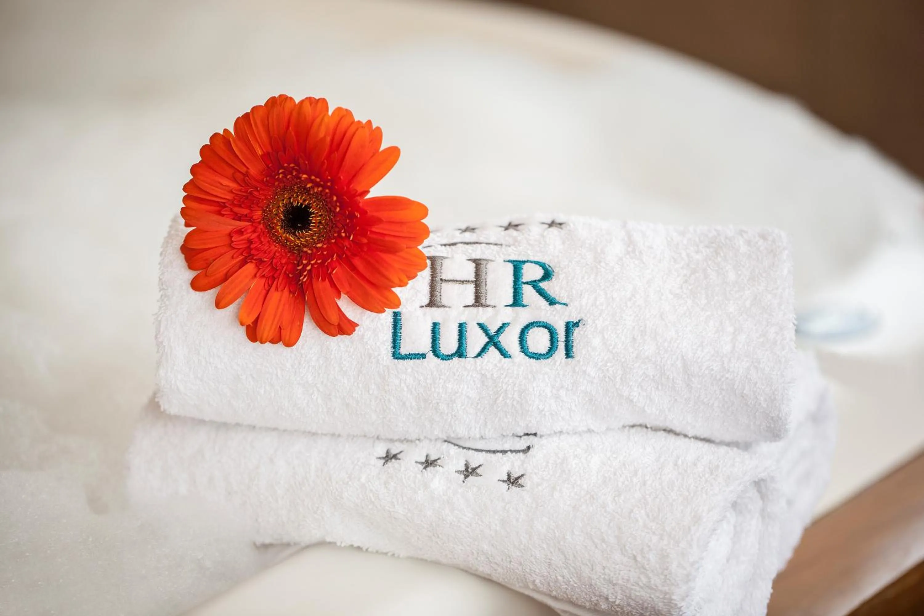 Spa and wellness centre/facilities in HR Luxor Hotel Buenos Aires