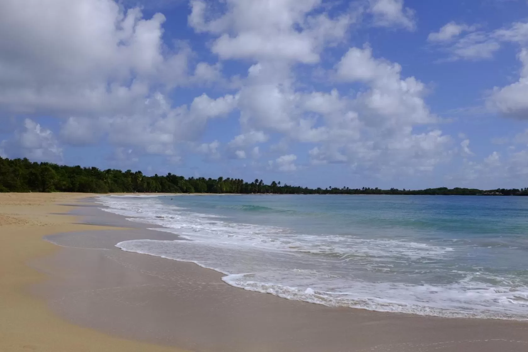 Beach in Bed and breakfast Riviere