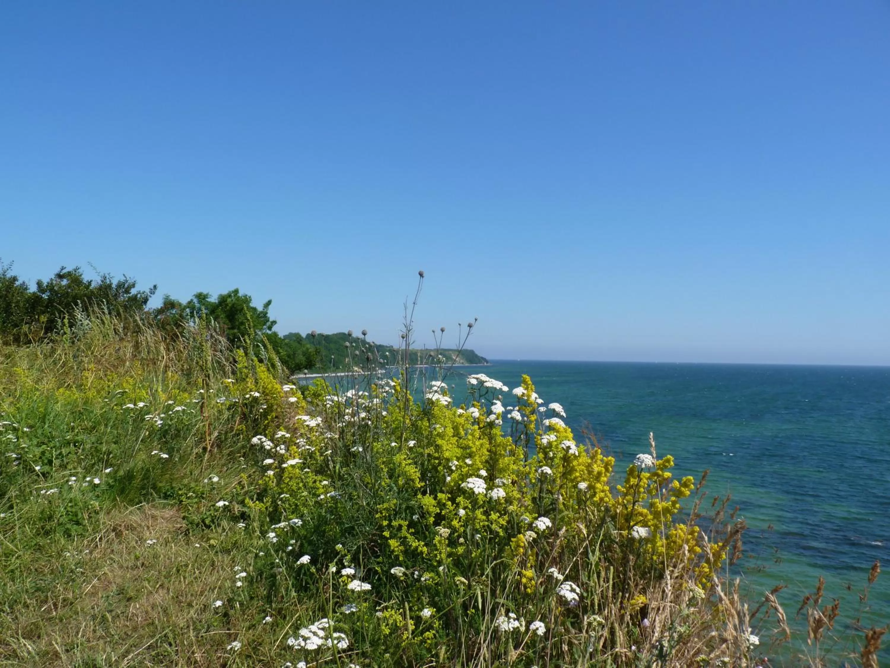 Natural landscape in Hotel Am Markt