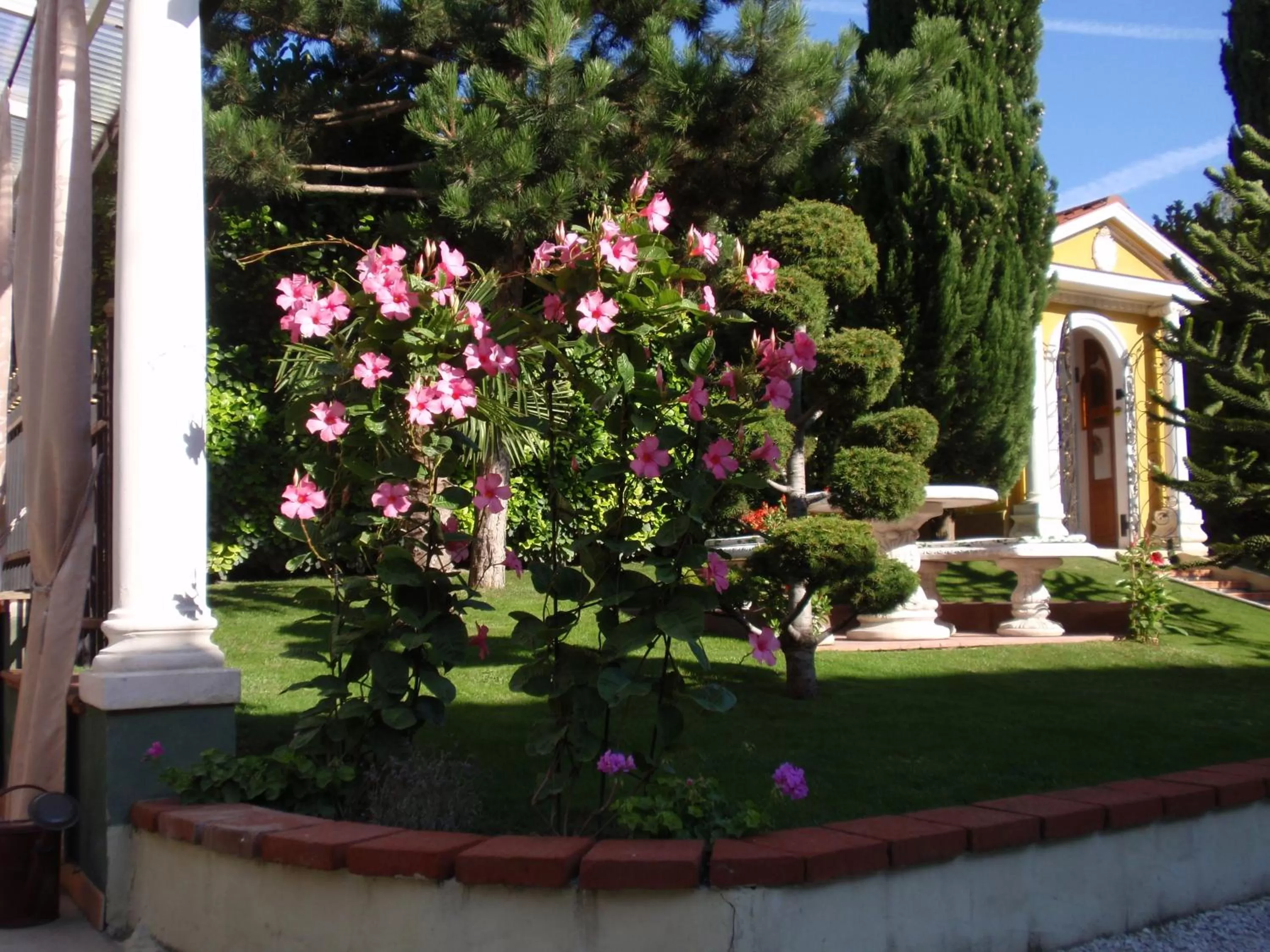 Garden in Villa-Angelina
