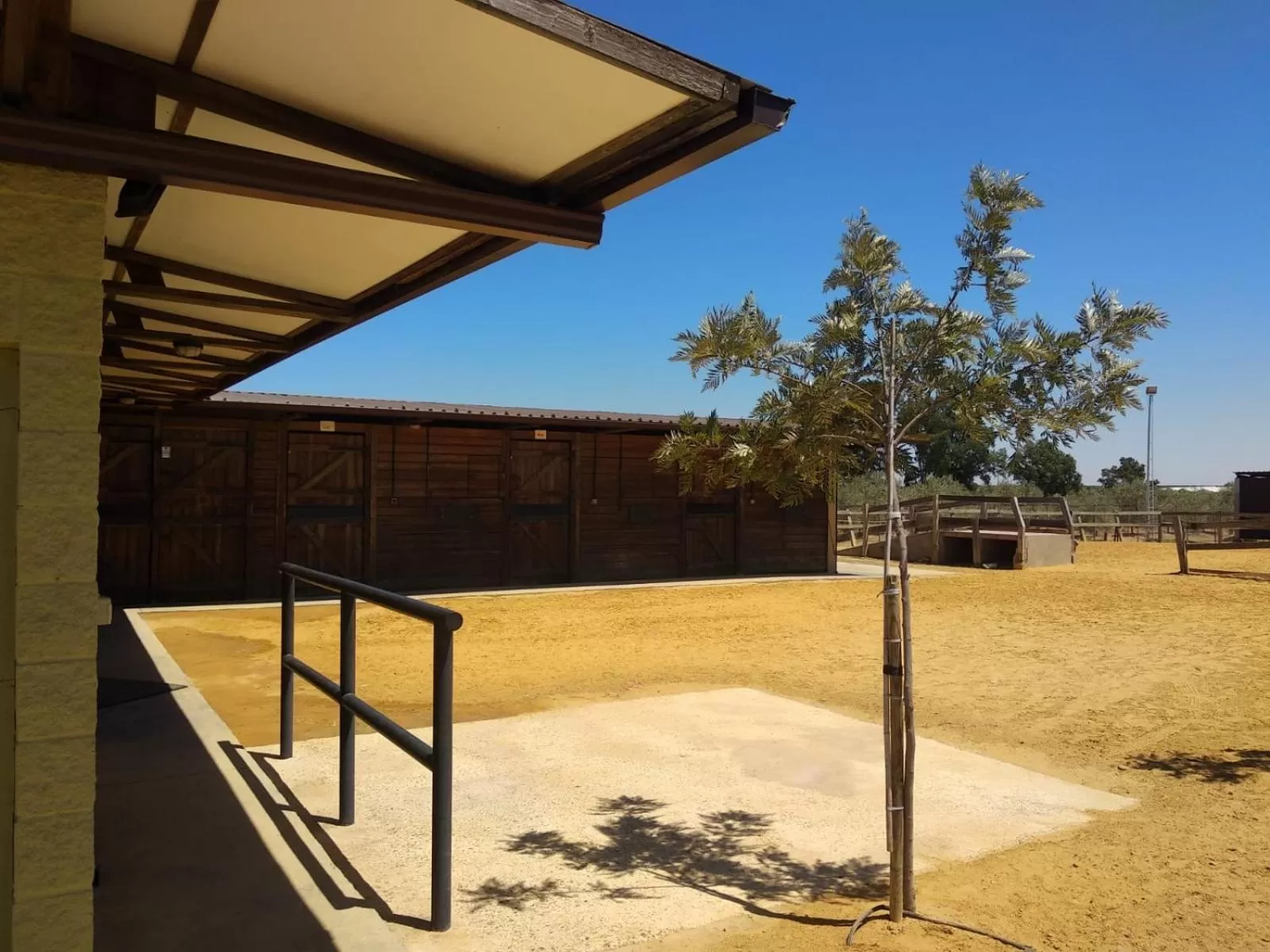 Horse-riding in Casa Rural Ecuestre