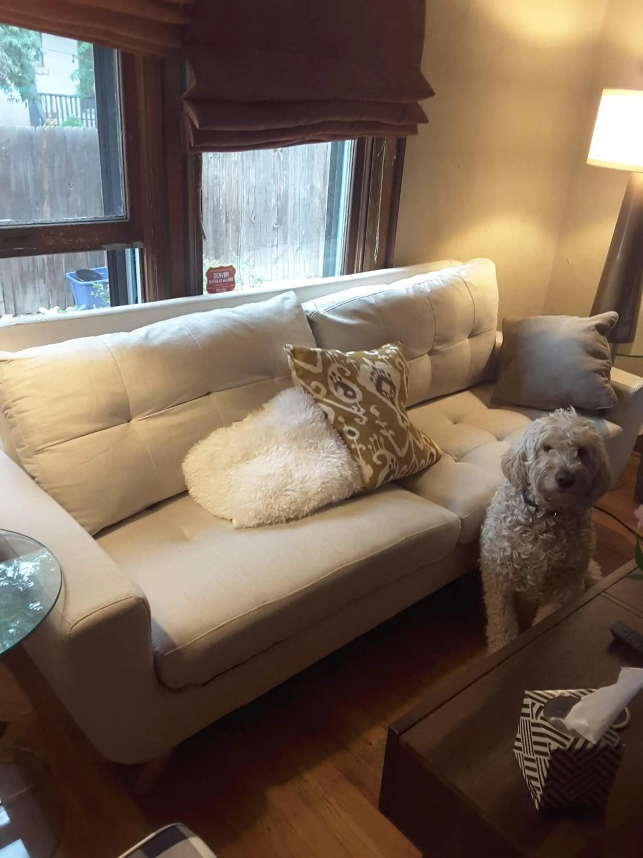 Communal lounge/ TV room in Off Broadway B & B