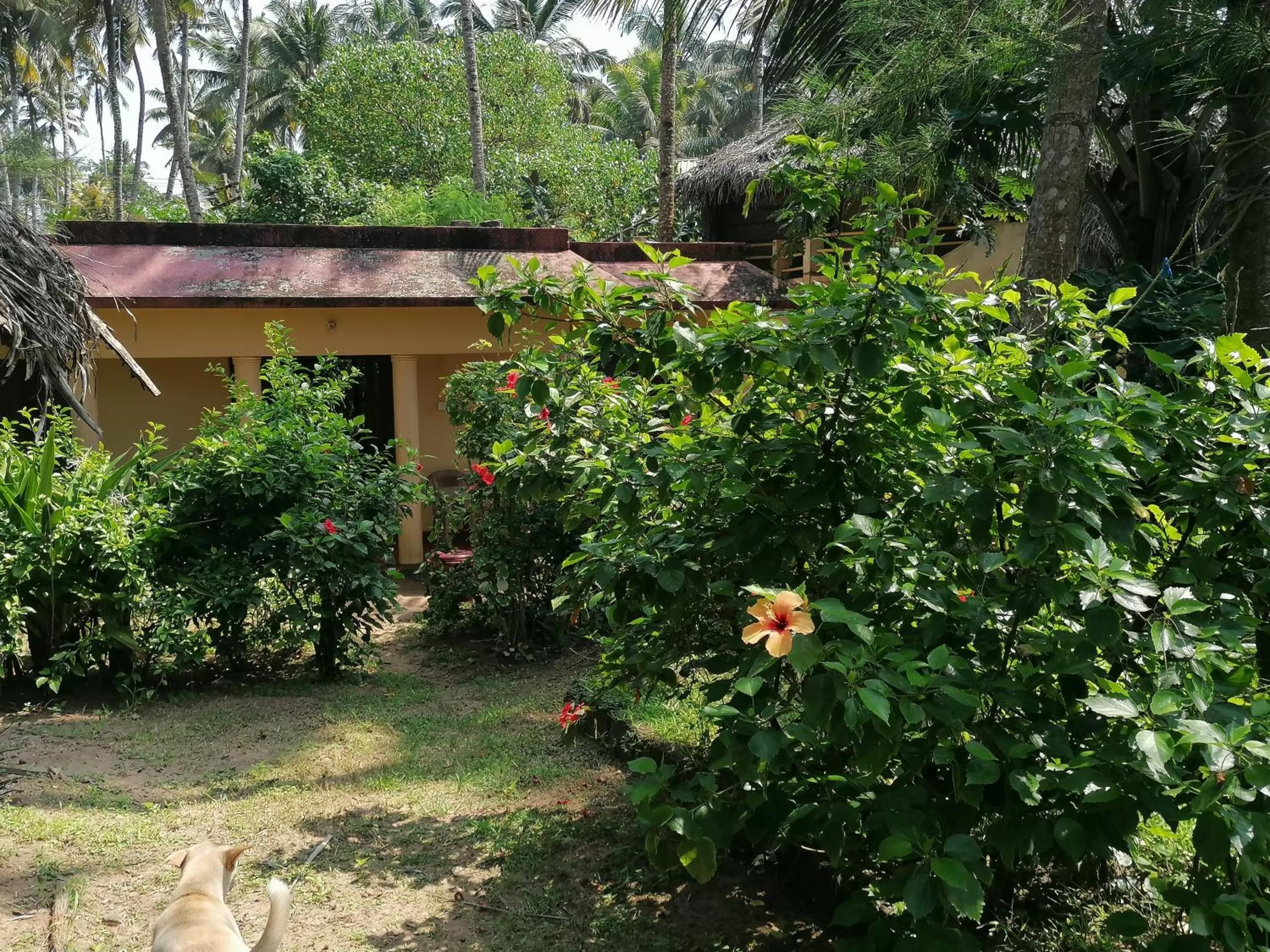 Property building, Garden in Sukriti beach Resort