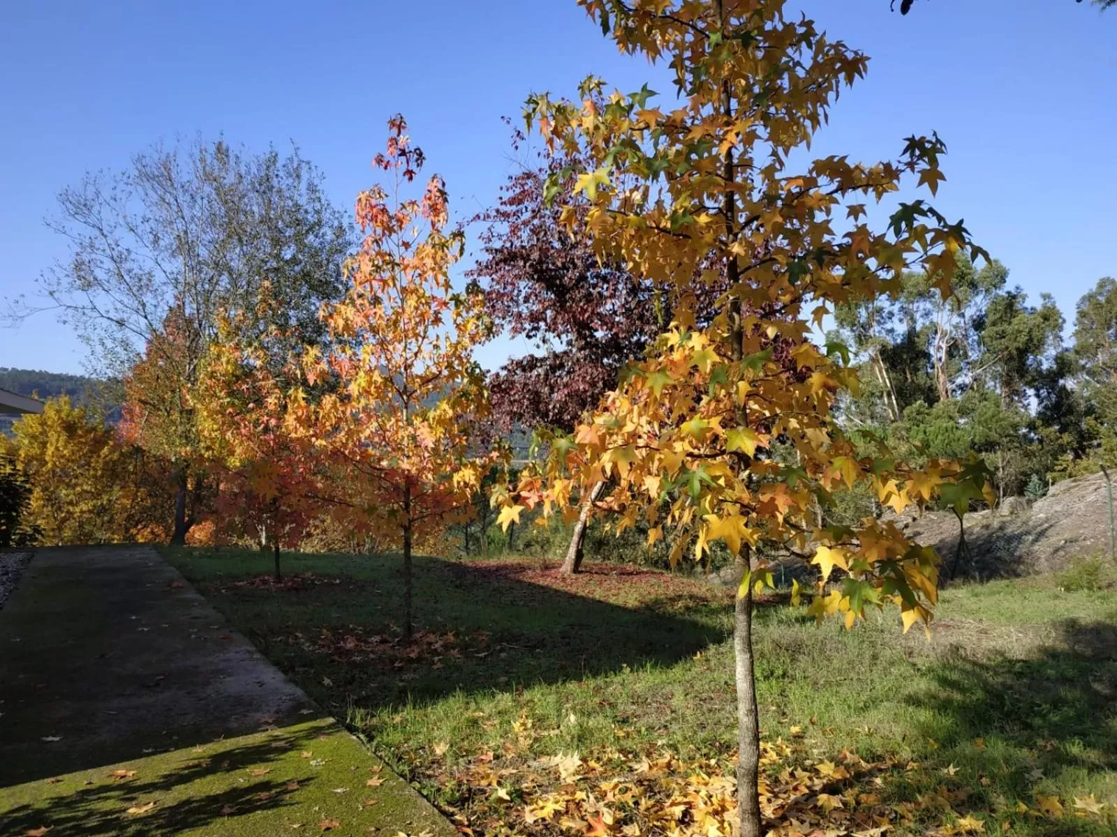 Day in Casa de Apeleiras