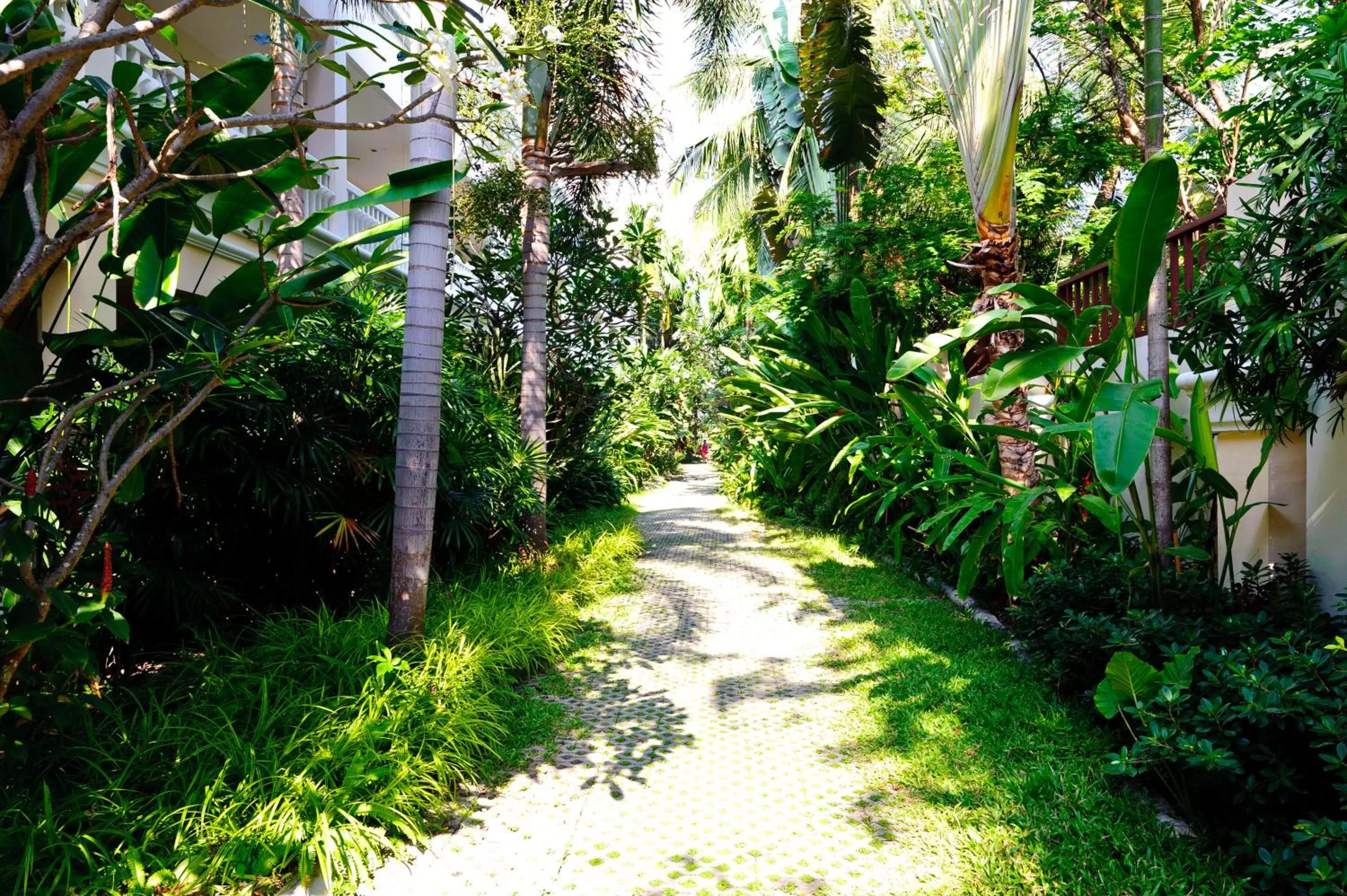 Garden in Grand Pacific Sovereign Resort & Spa
