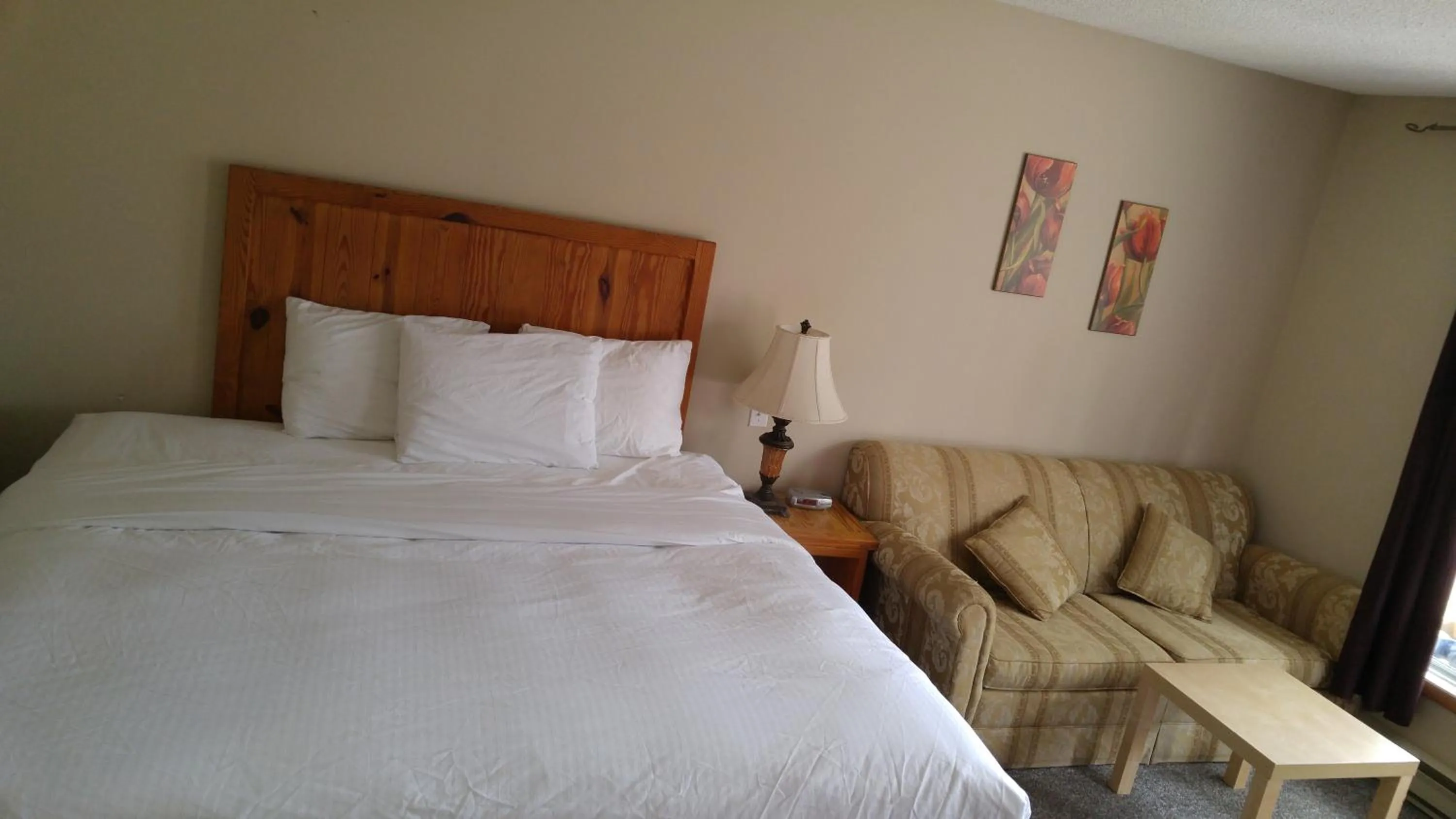 Photo of the whole room, Bed in Tulip Inn