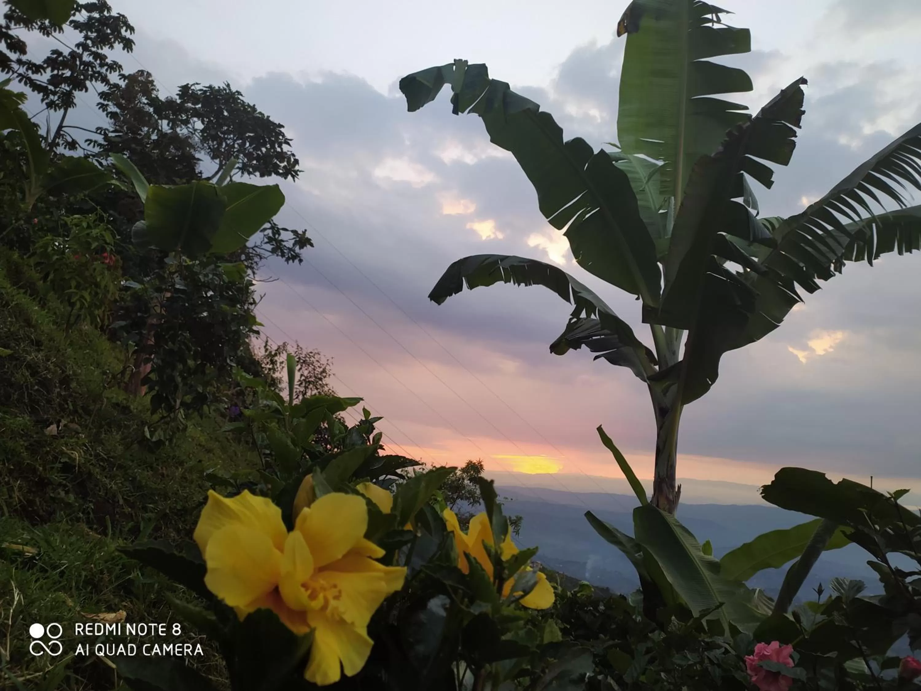 Mirador Finca Morrogacho