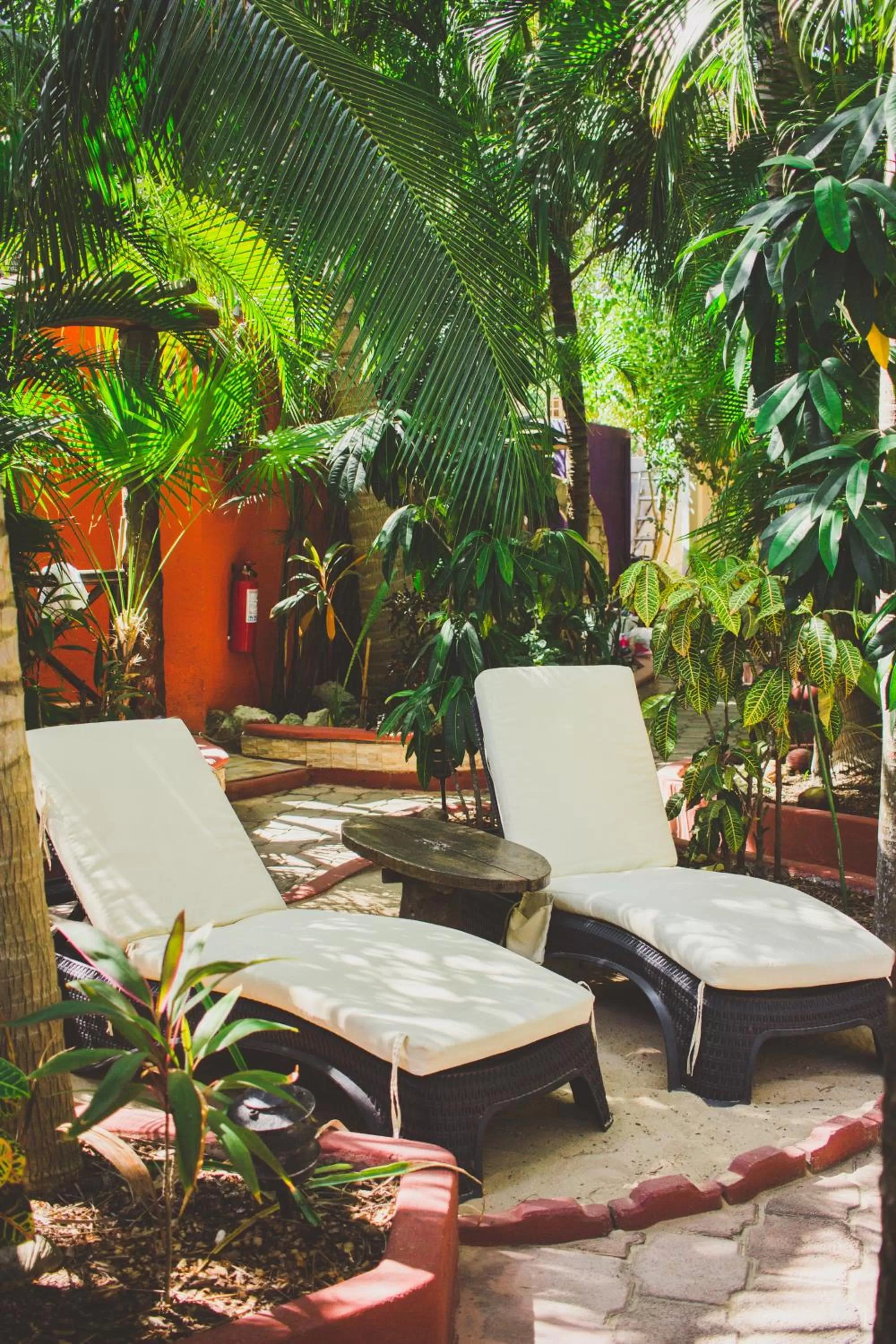 Garden in Cocos Cabañas Playa del Carmen Adults Only