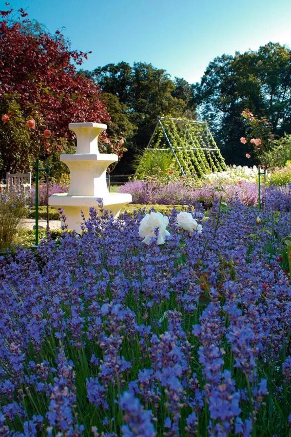 Garden in Forsthaus Heiligenberg