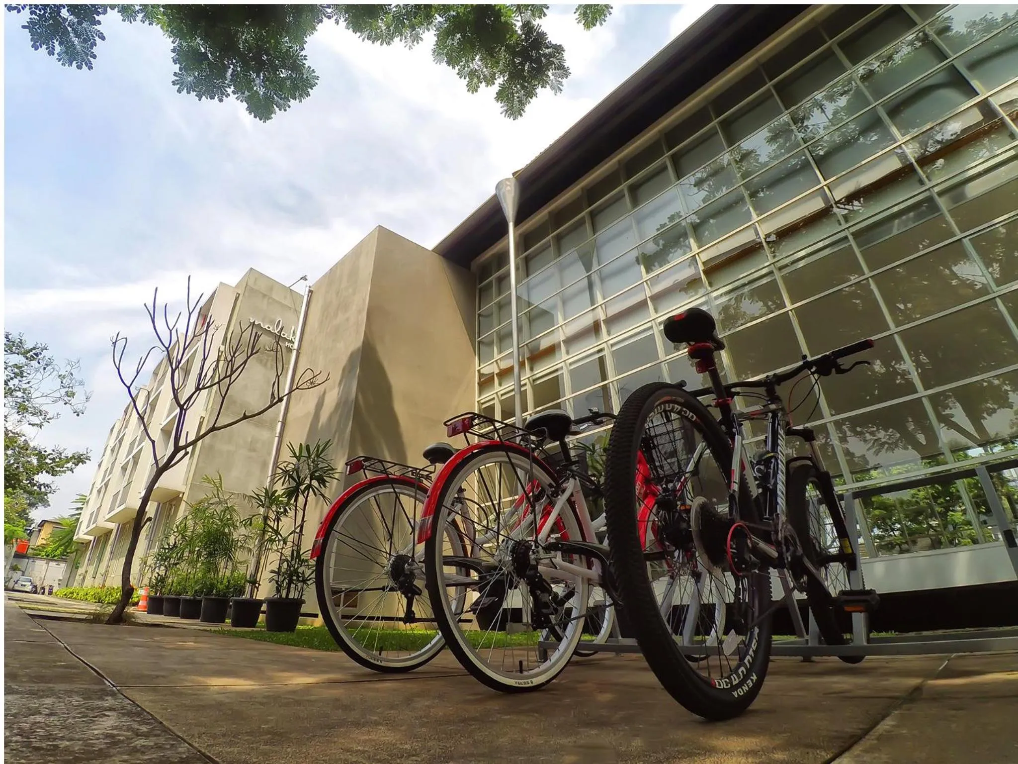 Activities in Malaka Hotel Bandung