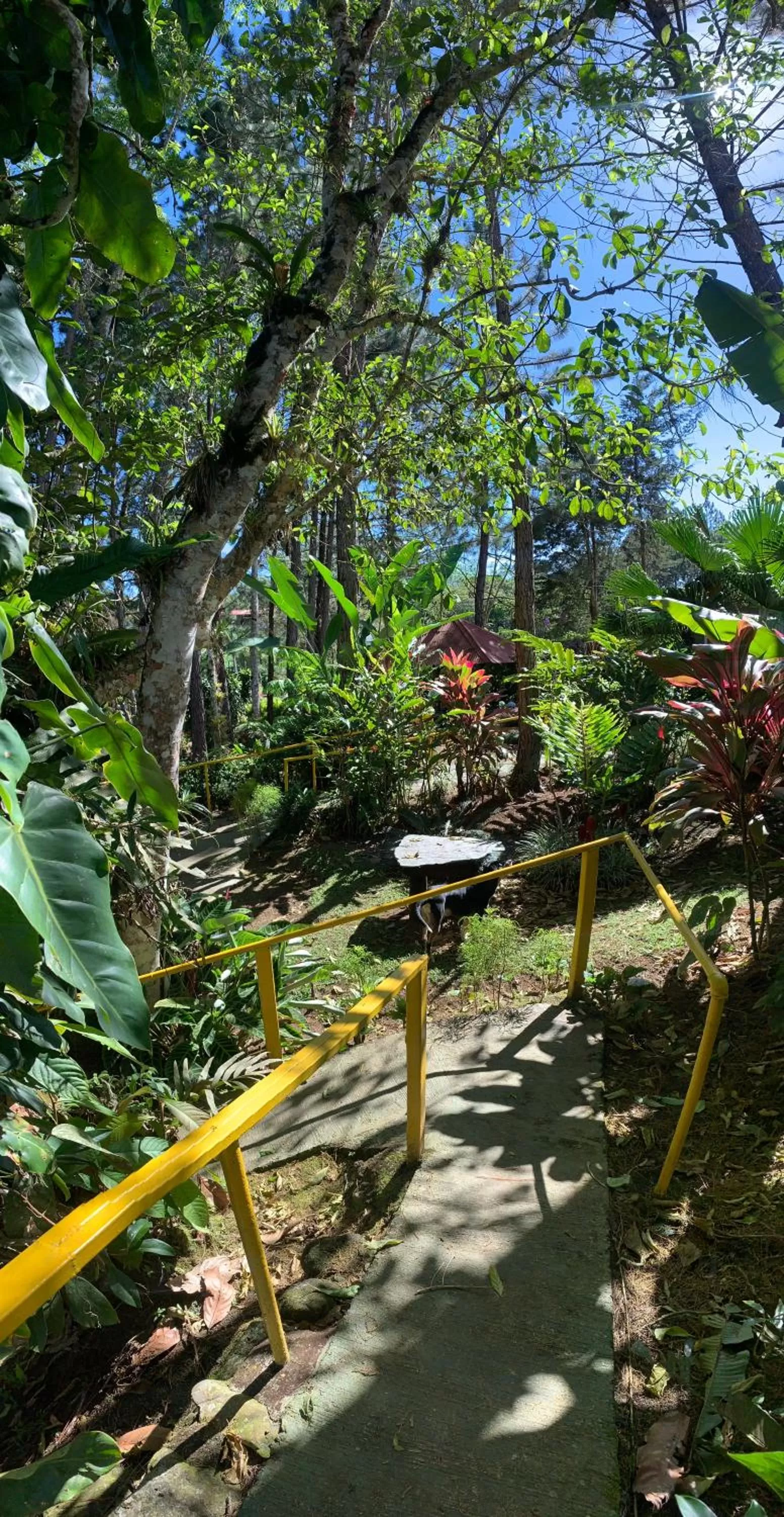 Garden in Vista Turrialba Lodge