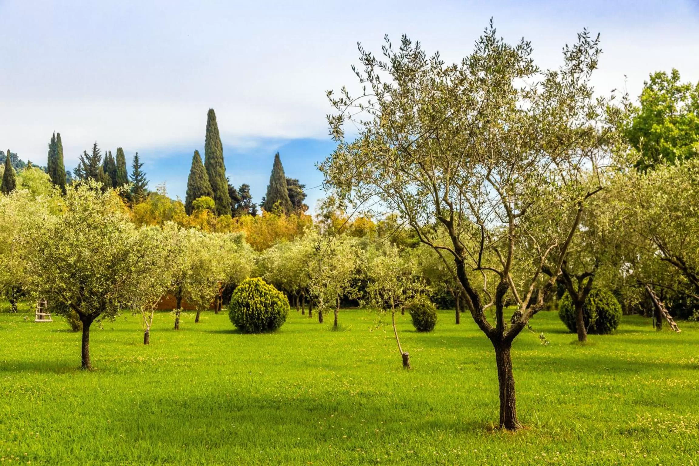 Garden in Casa Matilde