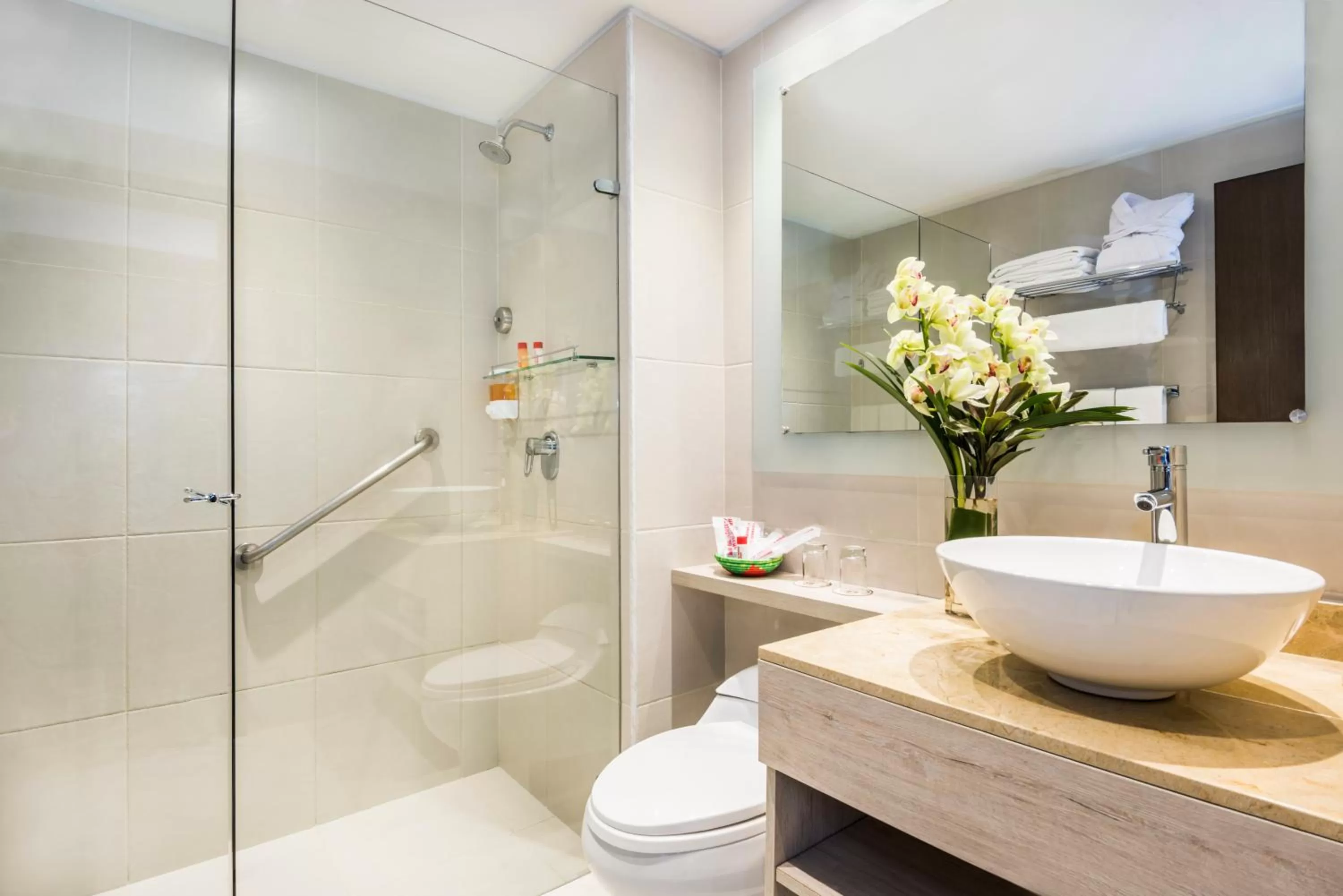 Shower in Hotel Rosales Plaza