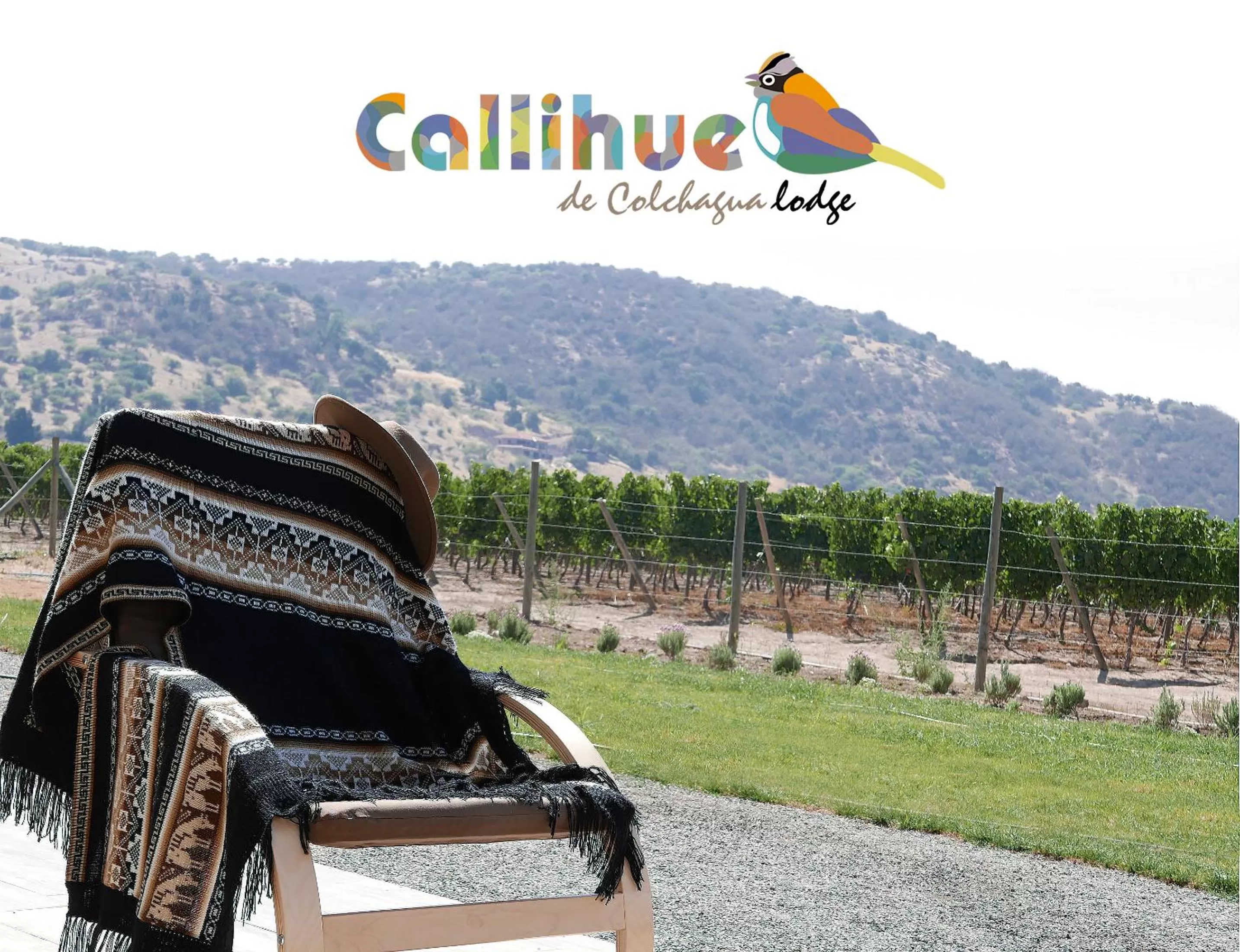 Logo/Certificate/Sign in Callihue Lodge