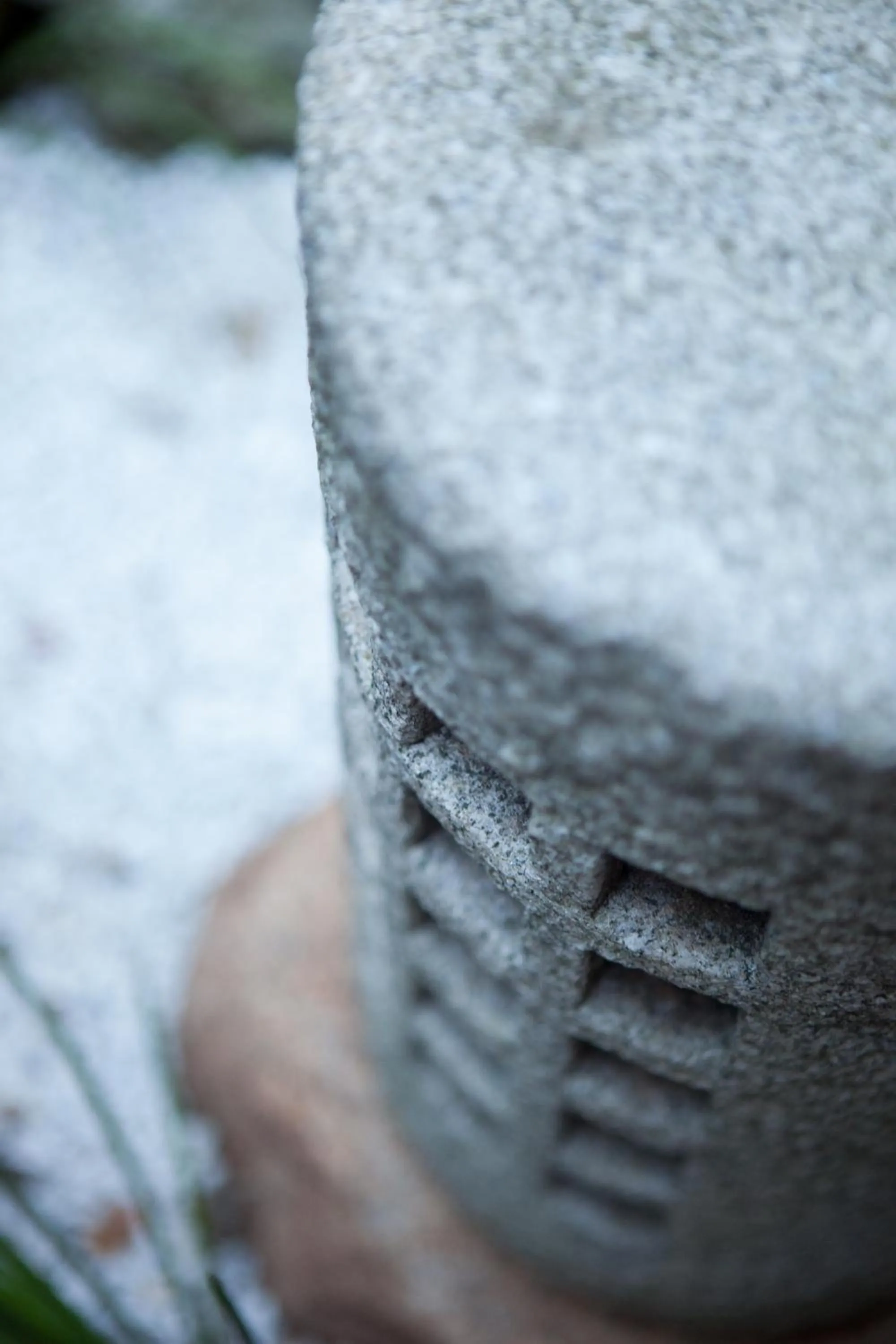 Garden in Rinn Tofukuji Kamogawa