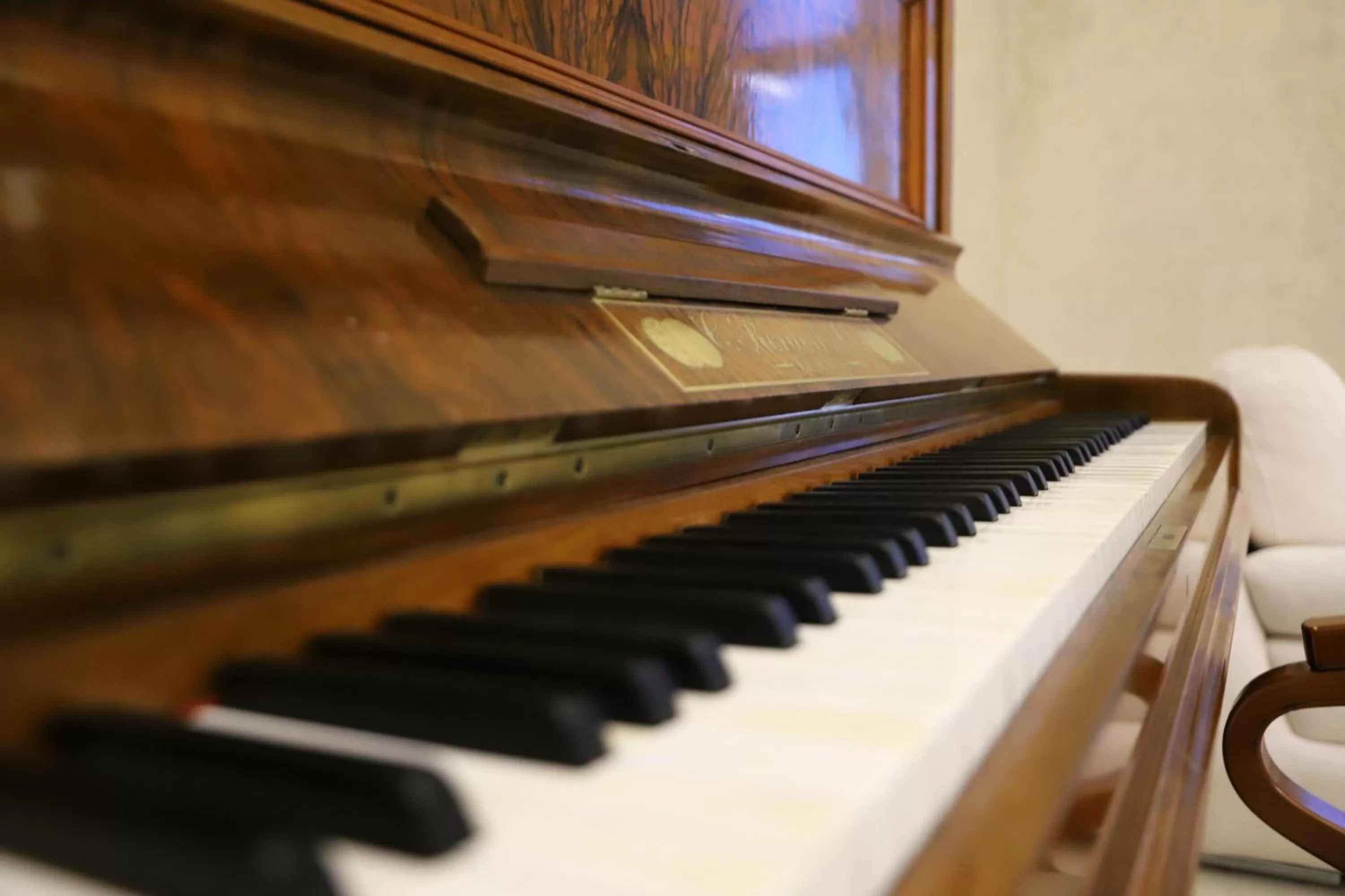 Entertainment in Hotel Colombo