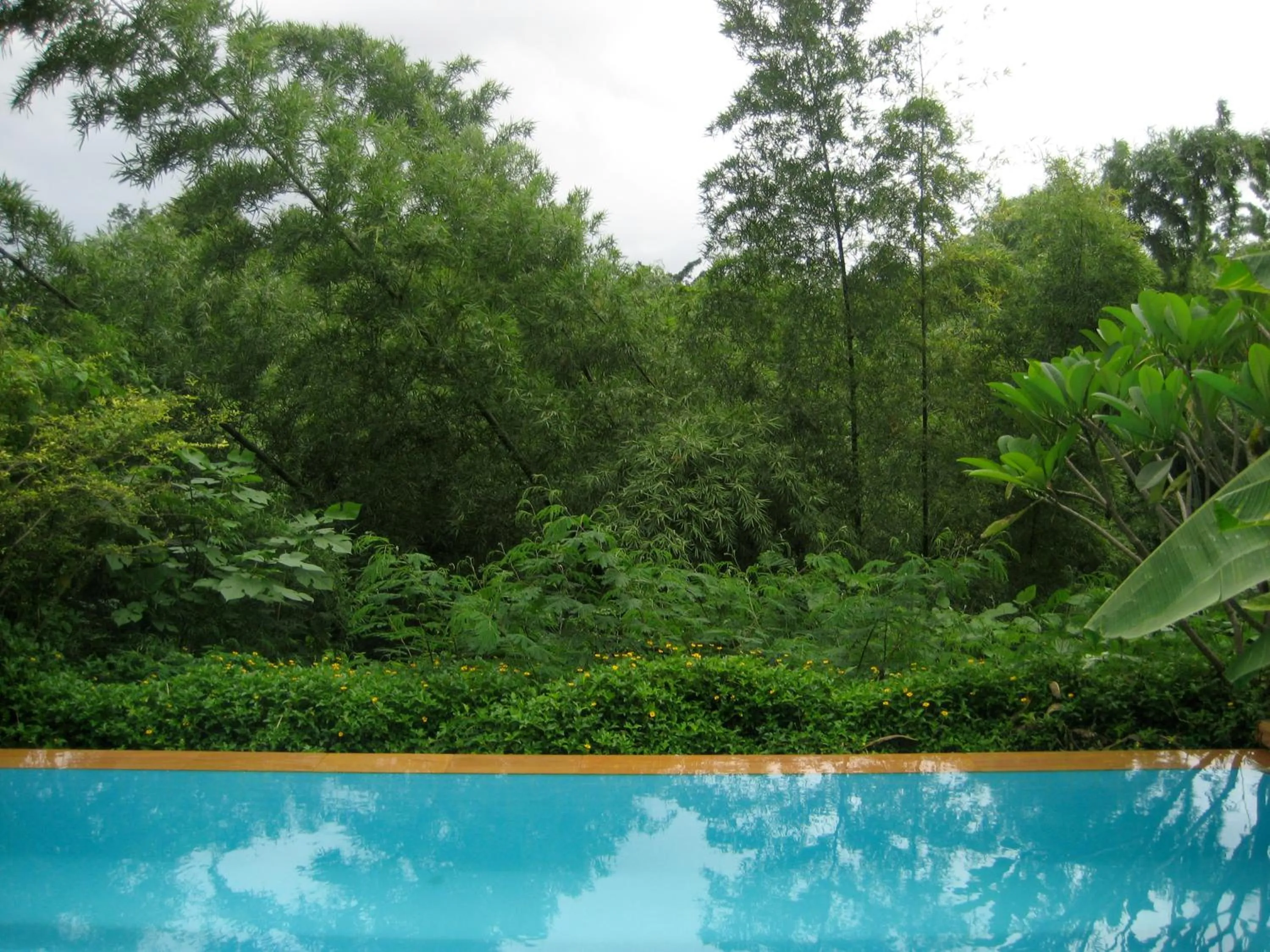 Natural landscape in Teakwood villa