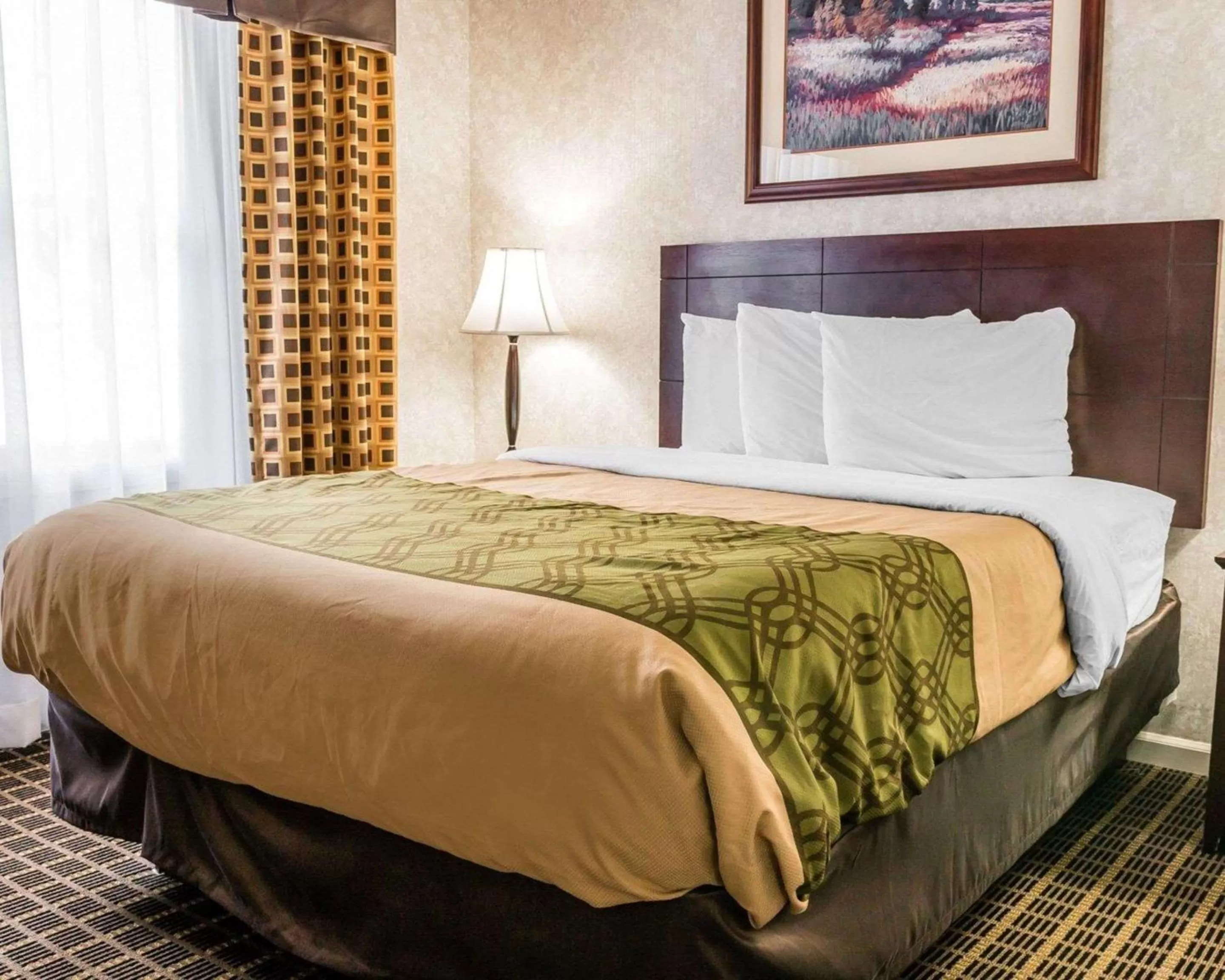 Photo of the whole room, Bed in Econo Lodge & Suites Grand Rapids Airport