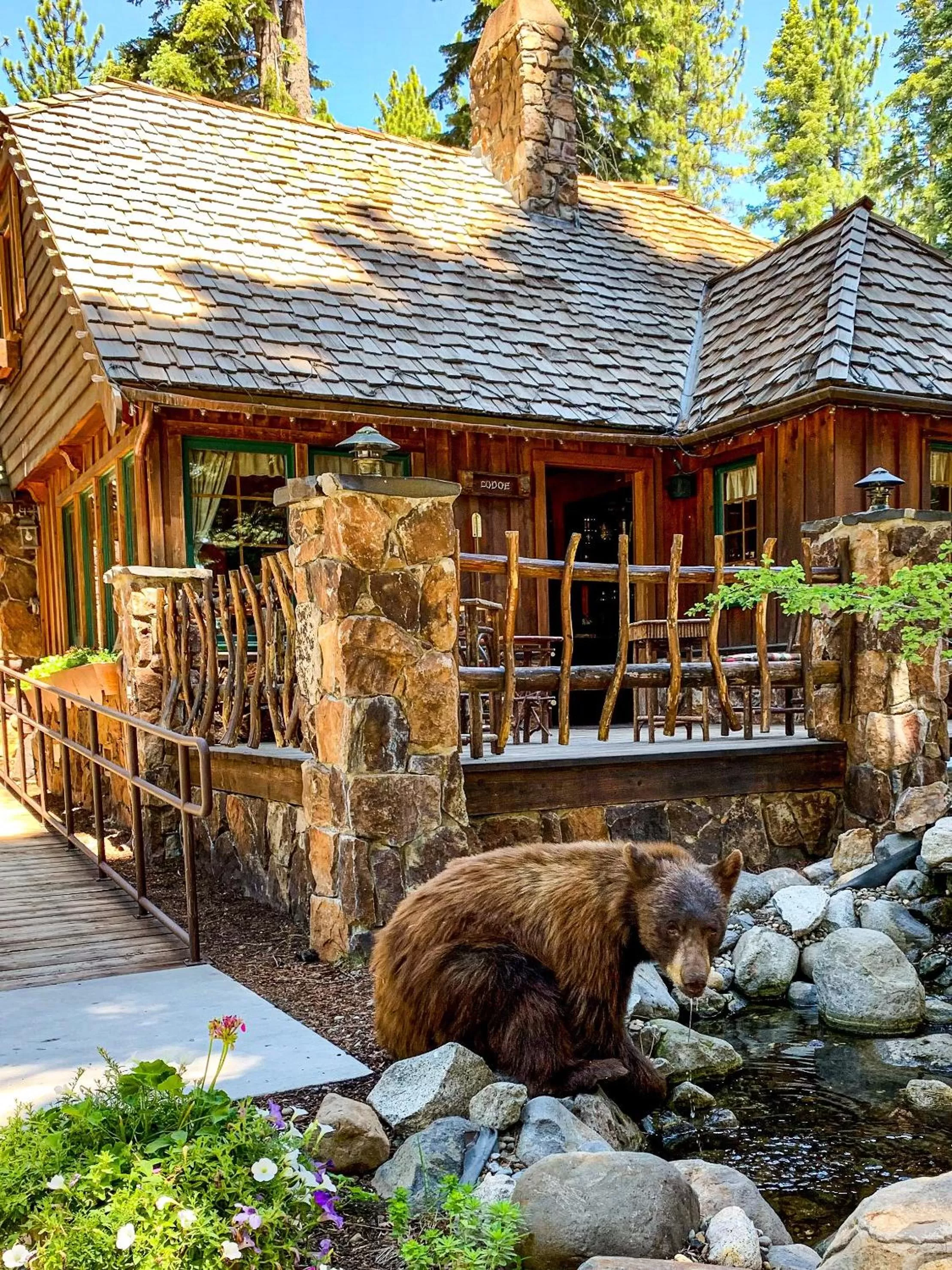 Property building in Cottage Inn At Lake Tahoe