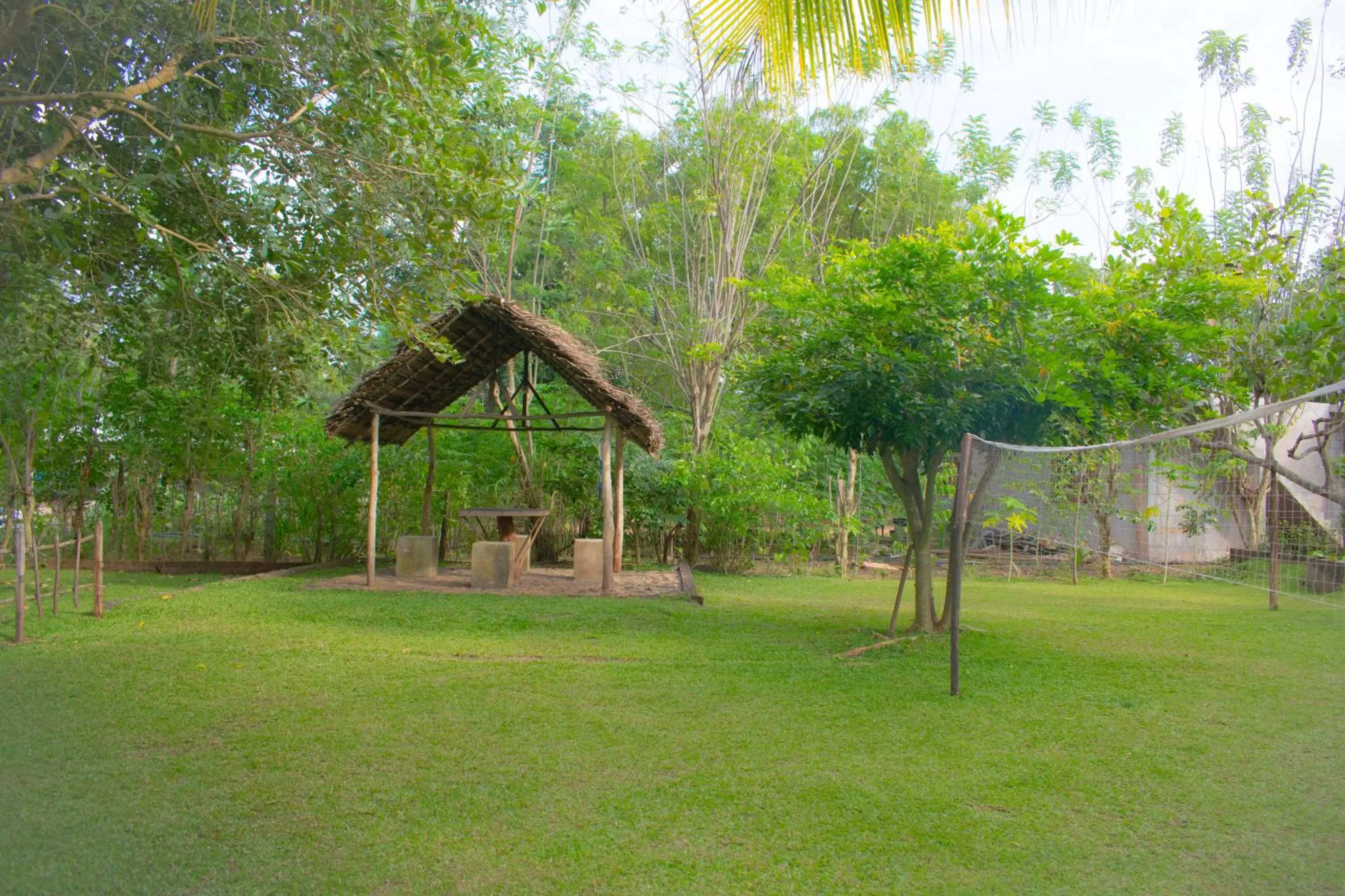 Garden in Green Cottage