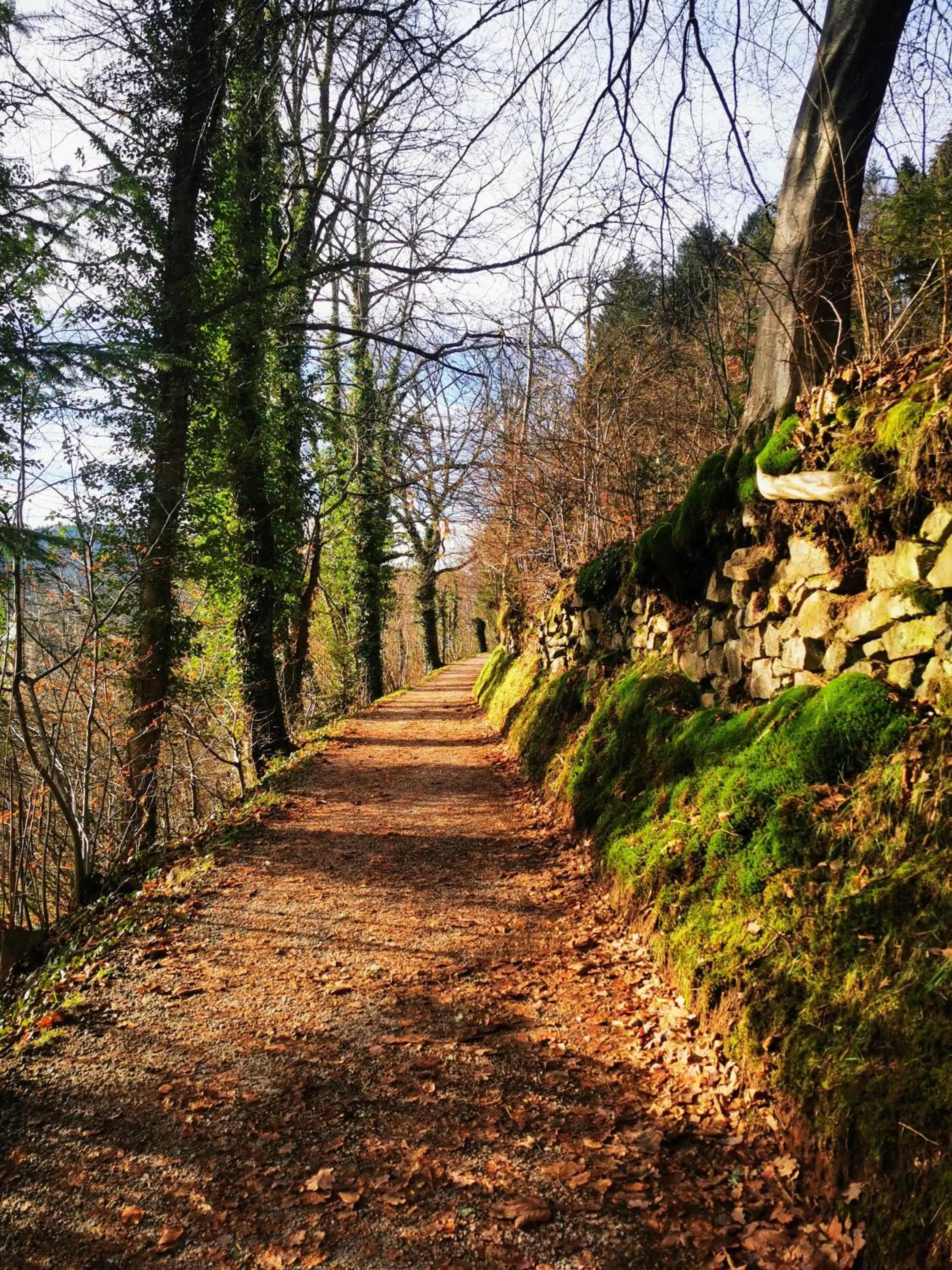 Natural landscape in Haus Hubertus