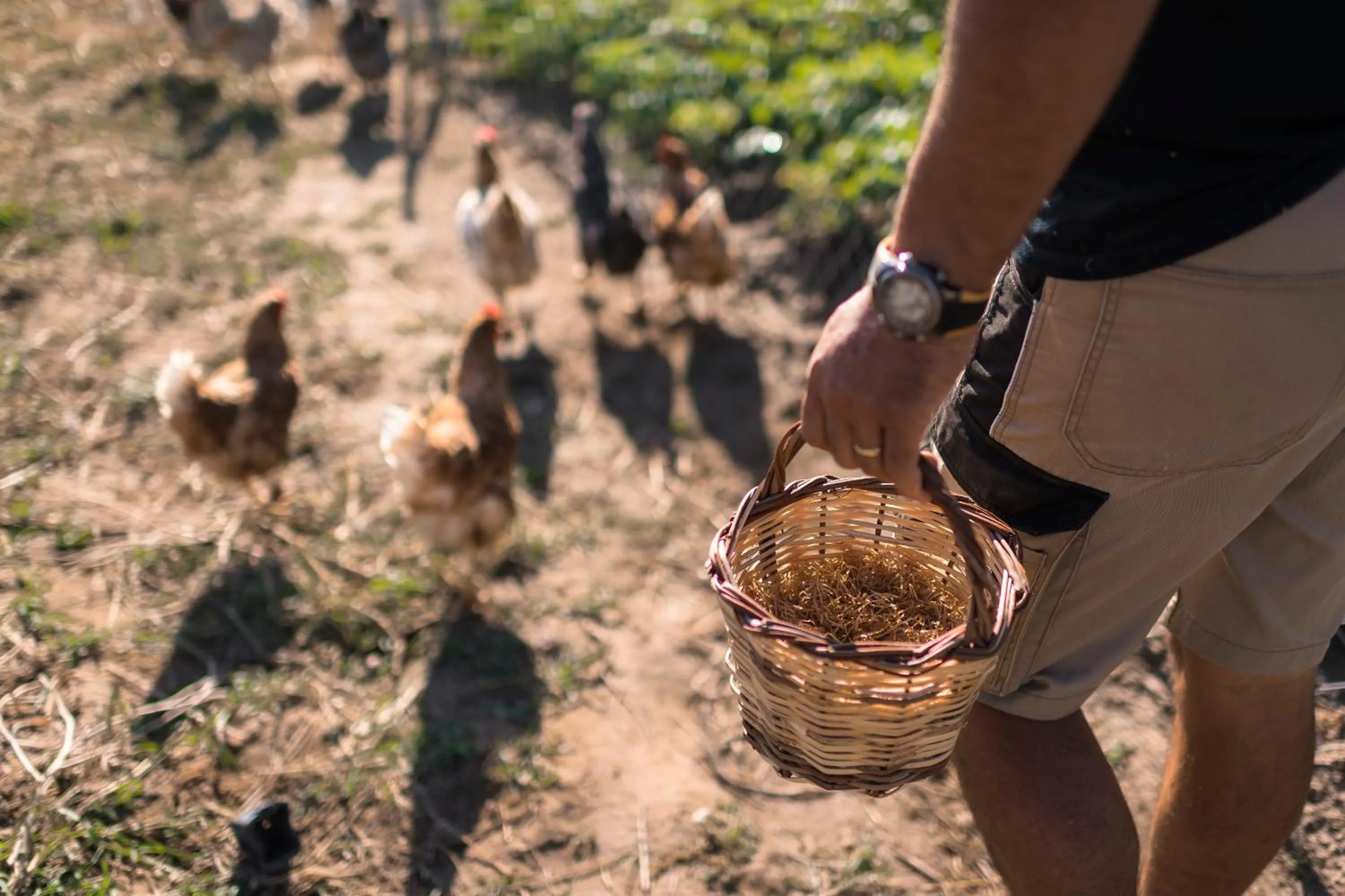Breakfast in Sperveri Boutique Hotel