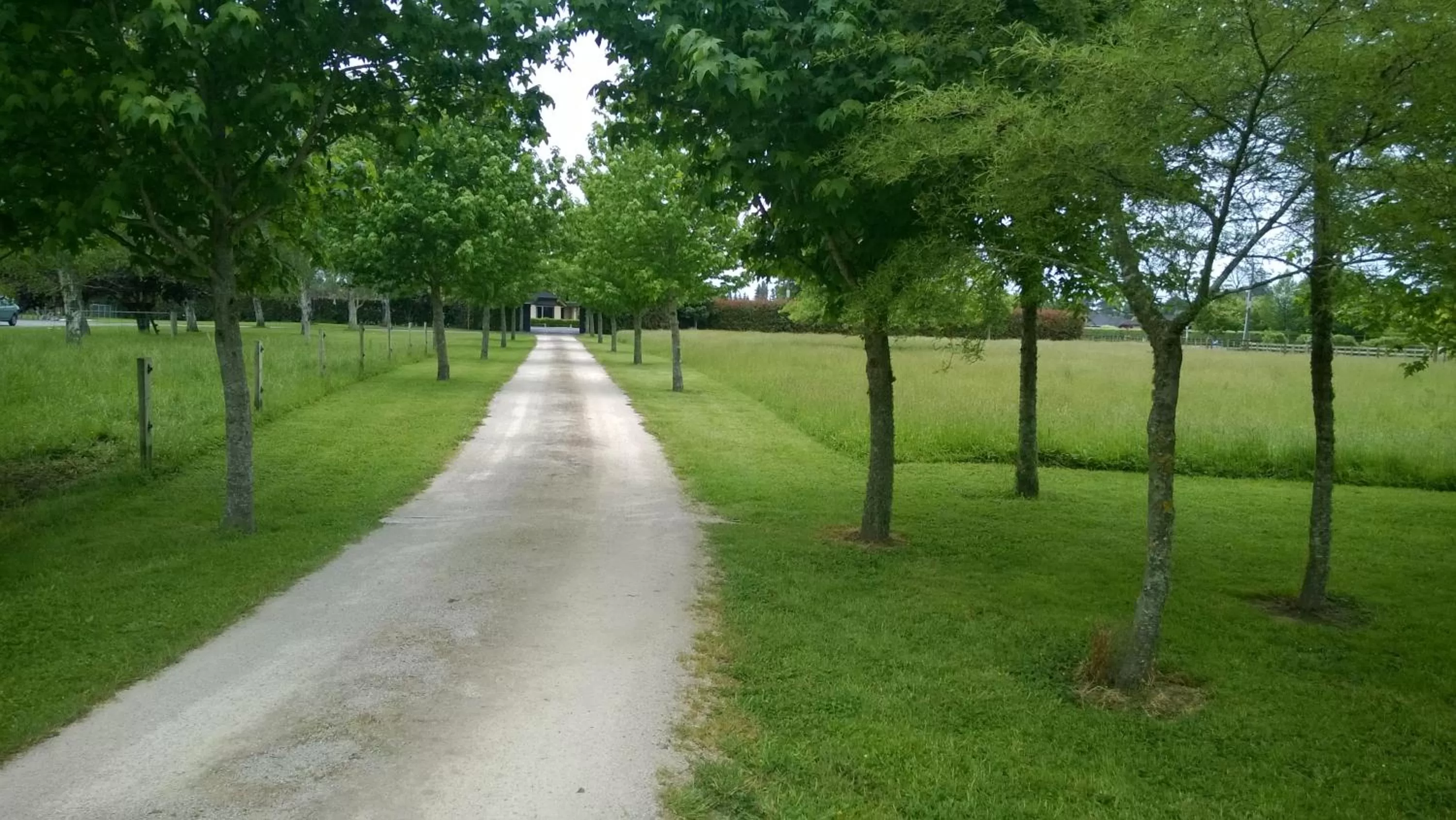 Natural landscape in Korbaylen Estate