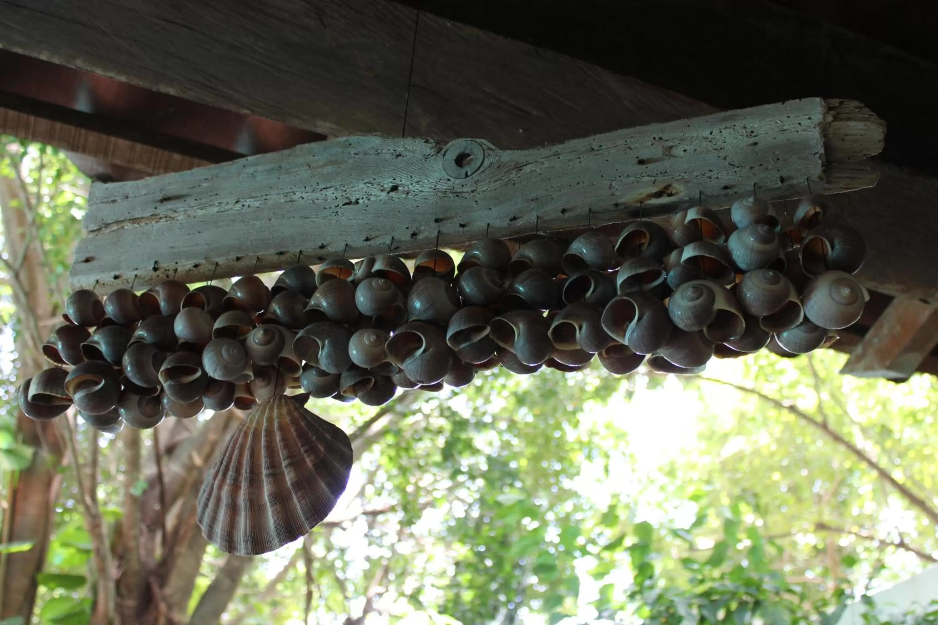 Decorative detail in Casa Quetzal Hotel
