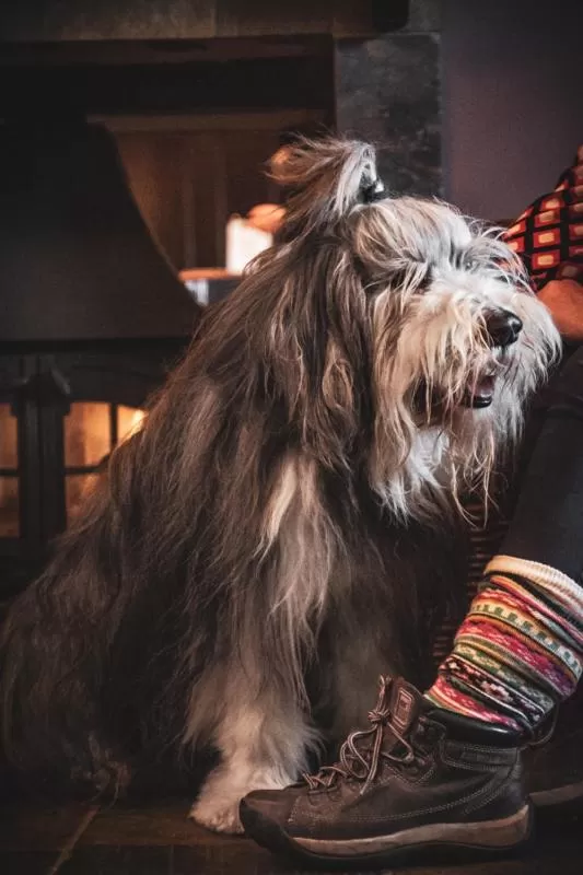 The Angus Hotel & Spa