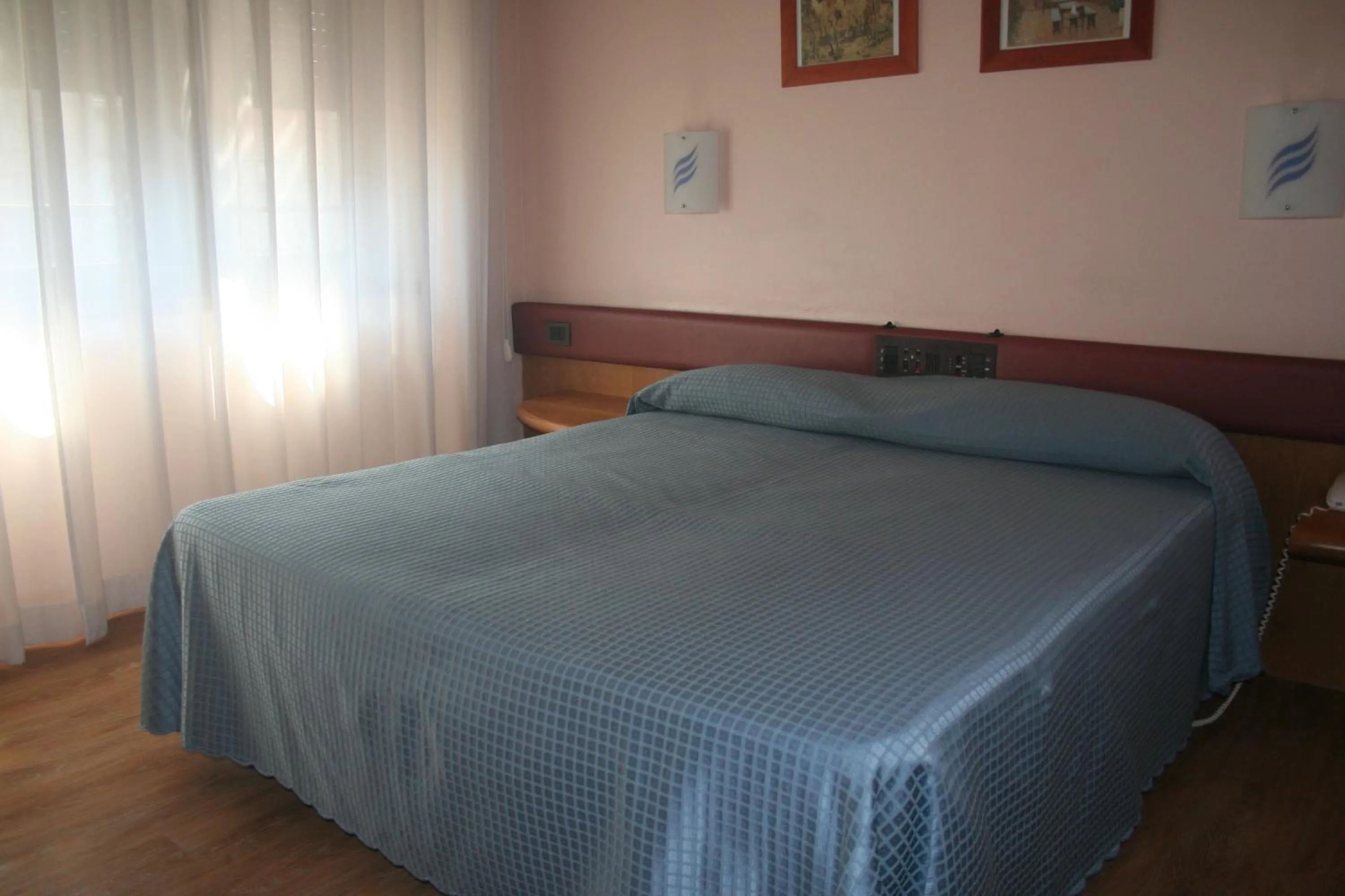 Double Room in Albert Hotel